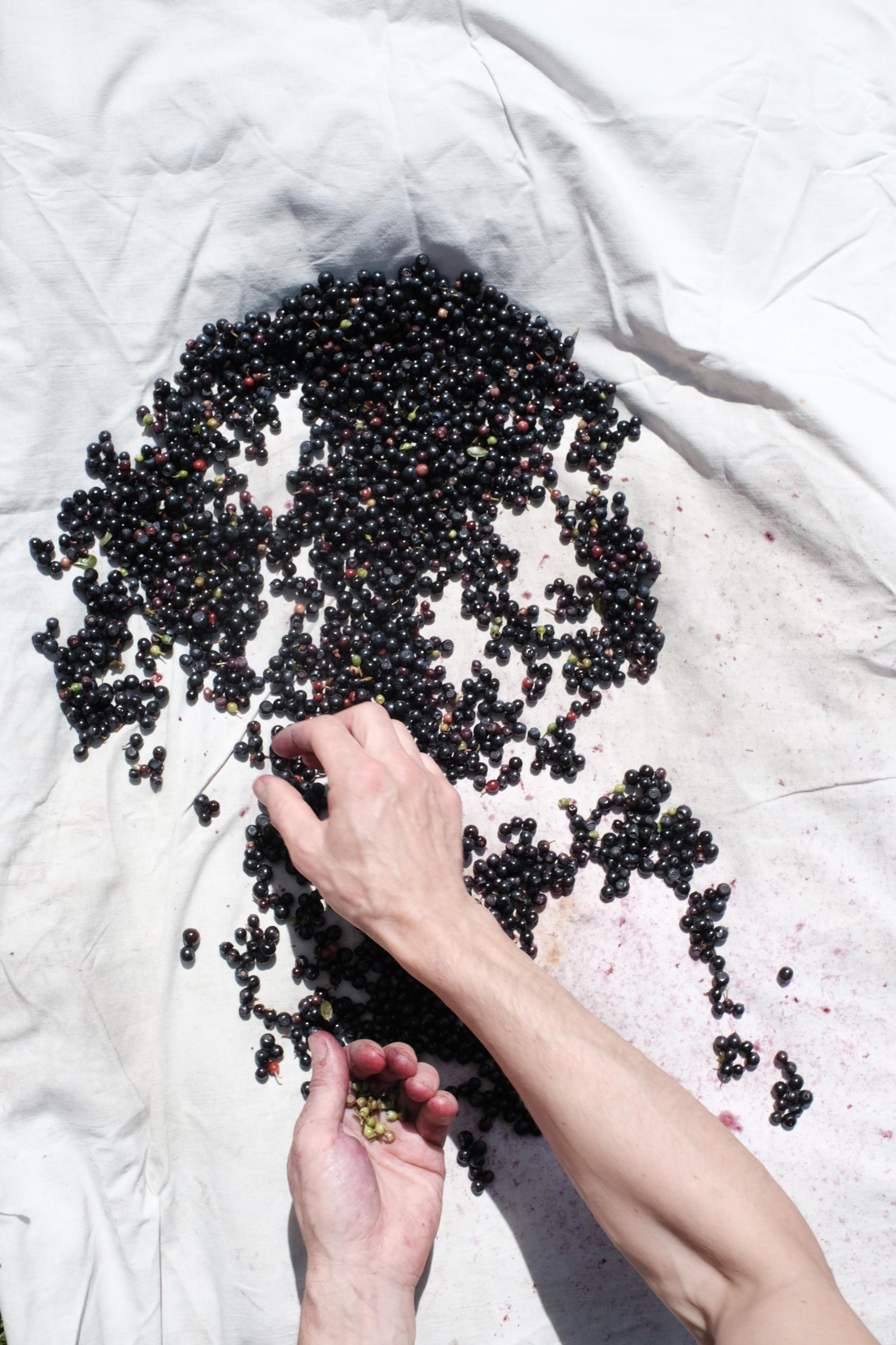 Not found. Lisa Mukhina