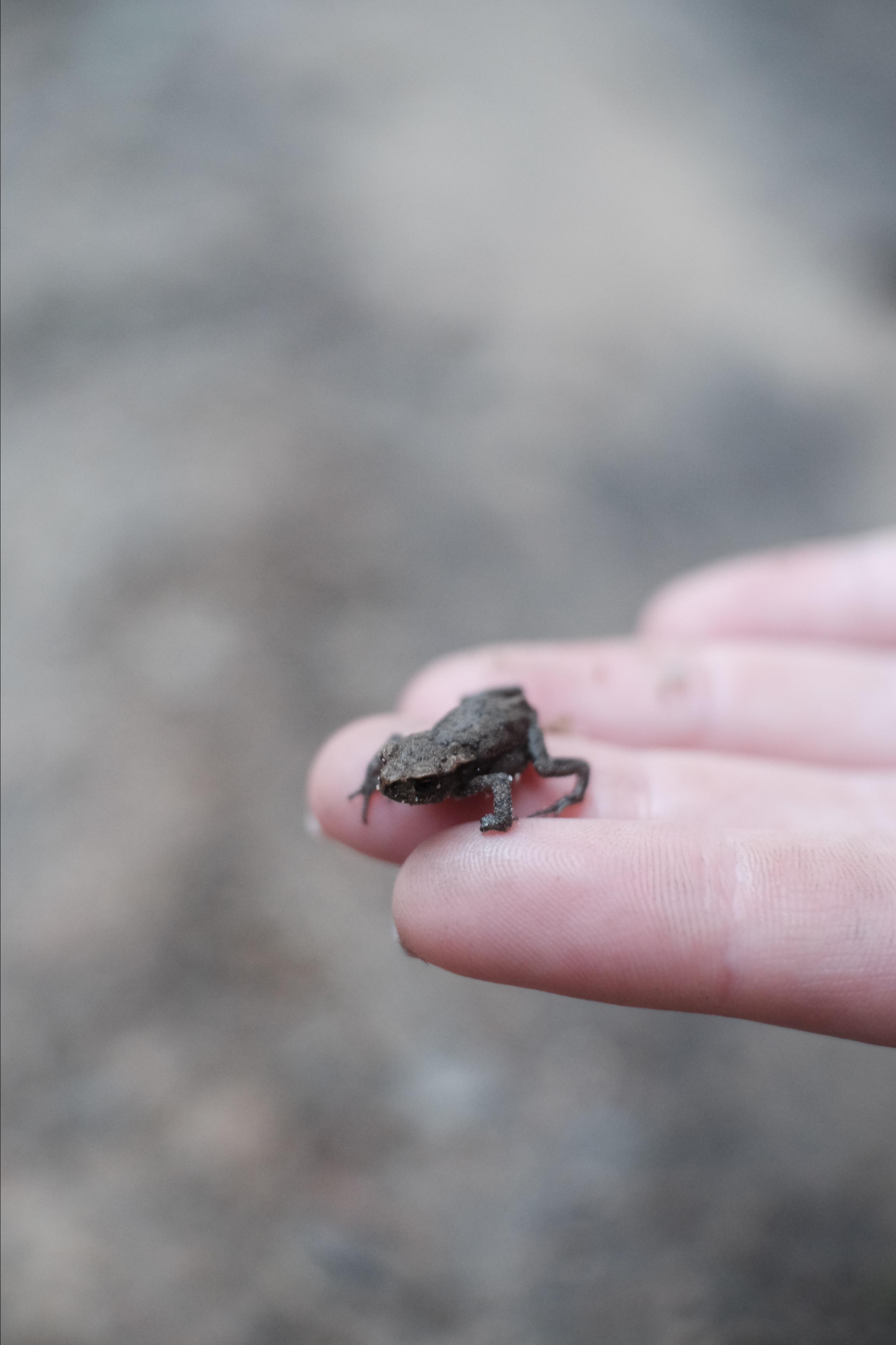 Not found. Lisa Mukhina