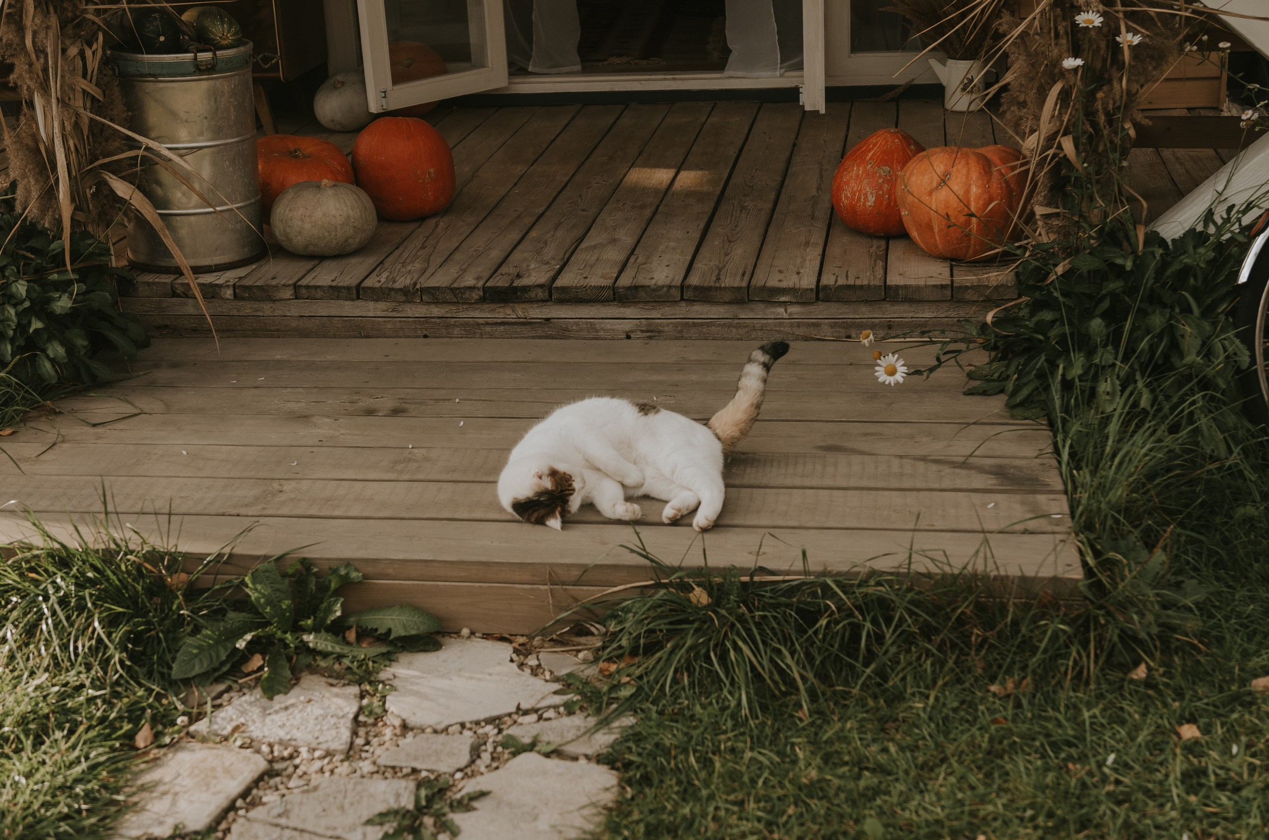 Семейные. Индивидуальные, семейные, студийные съемки в Серпухове и за пределами