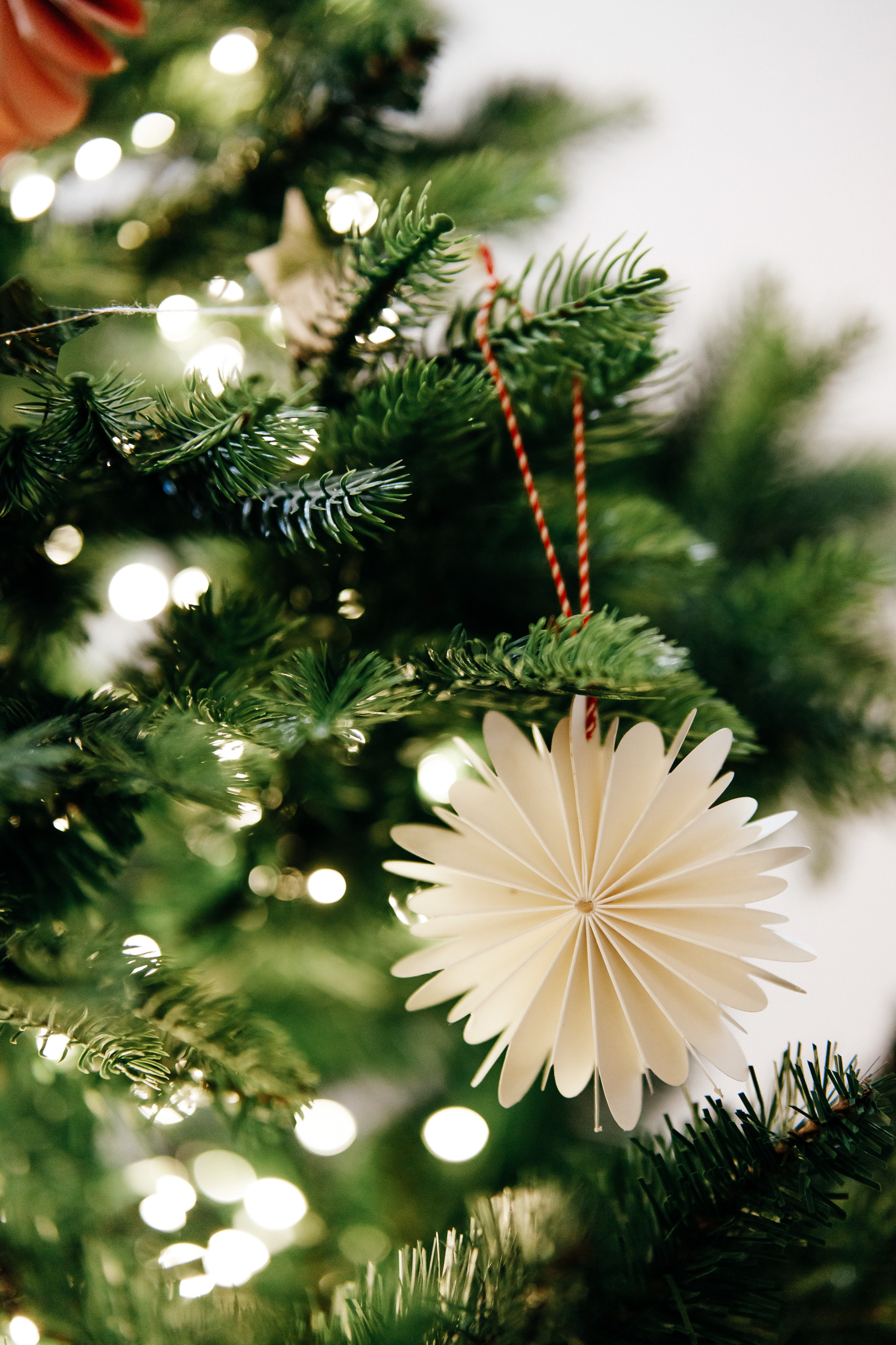 Корпоратив танцевального клуба KUDRIDANCE. Репортажный фотограф Семён Борисов | Москва