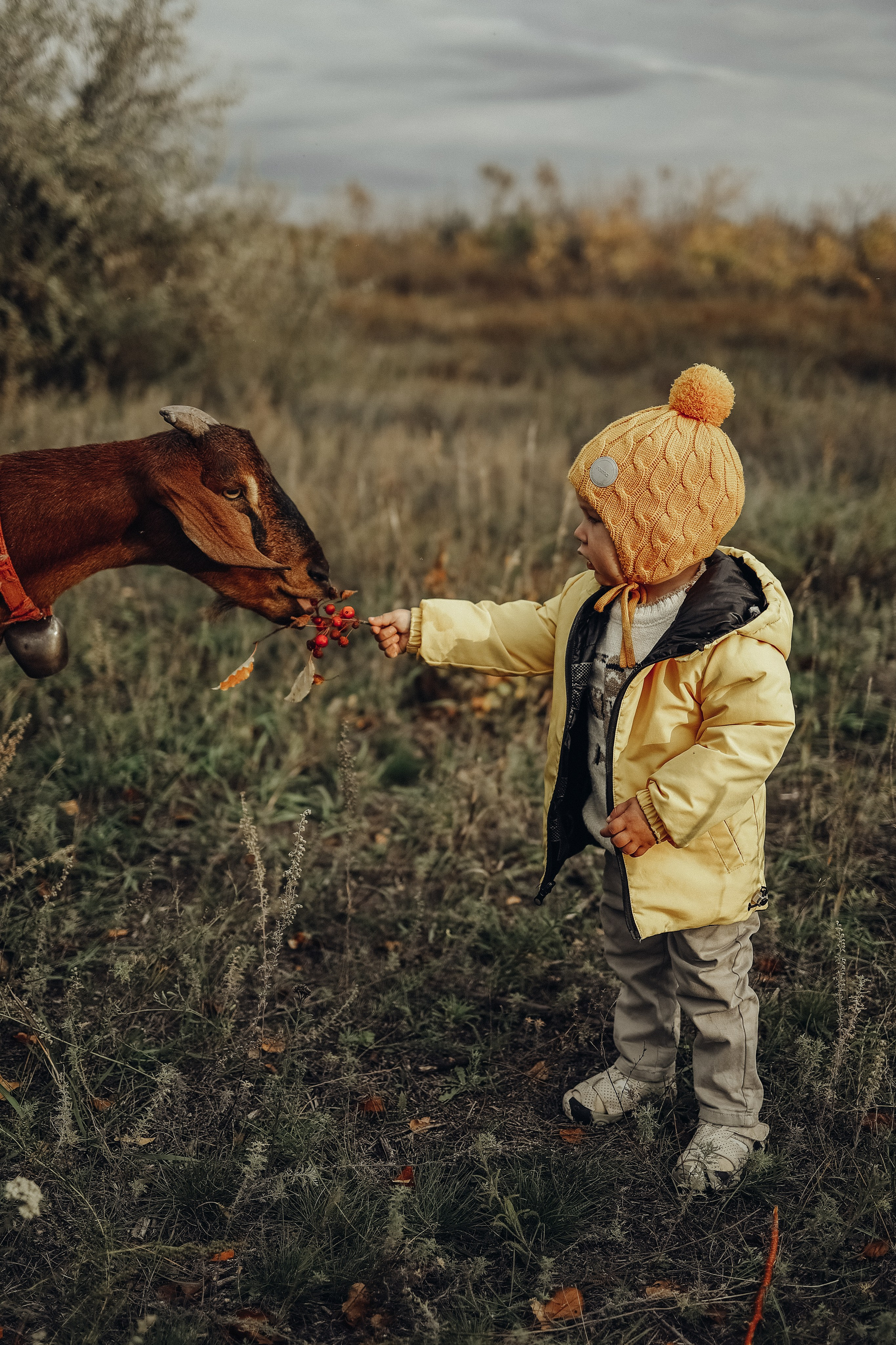 Семейная прогулочная съёмка. Фотограф в Астане Элина Багинская