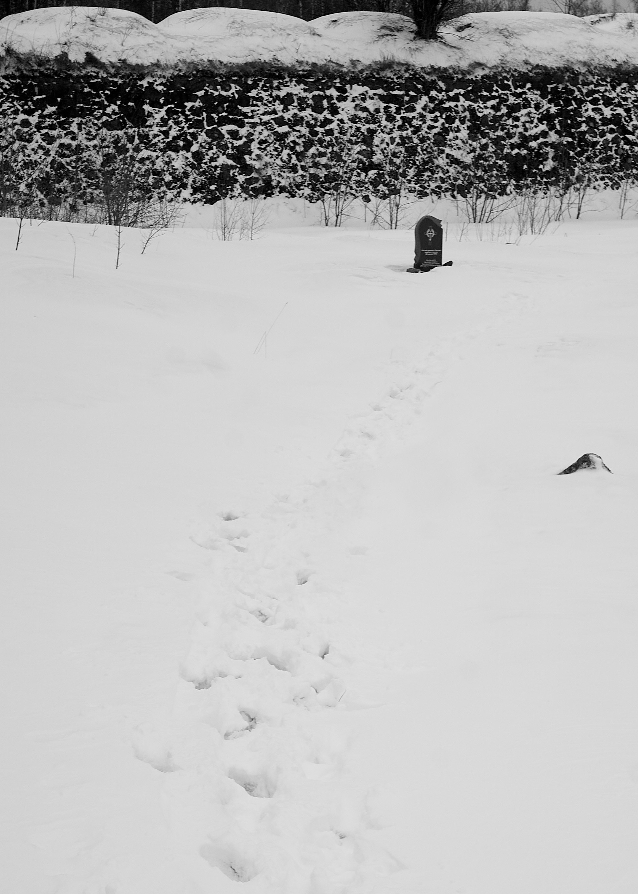 Санкт-Петербур — Выборг — Сортавала 23г. Фотограф и оператор мероприятий, концертов и портретов в городе Москва