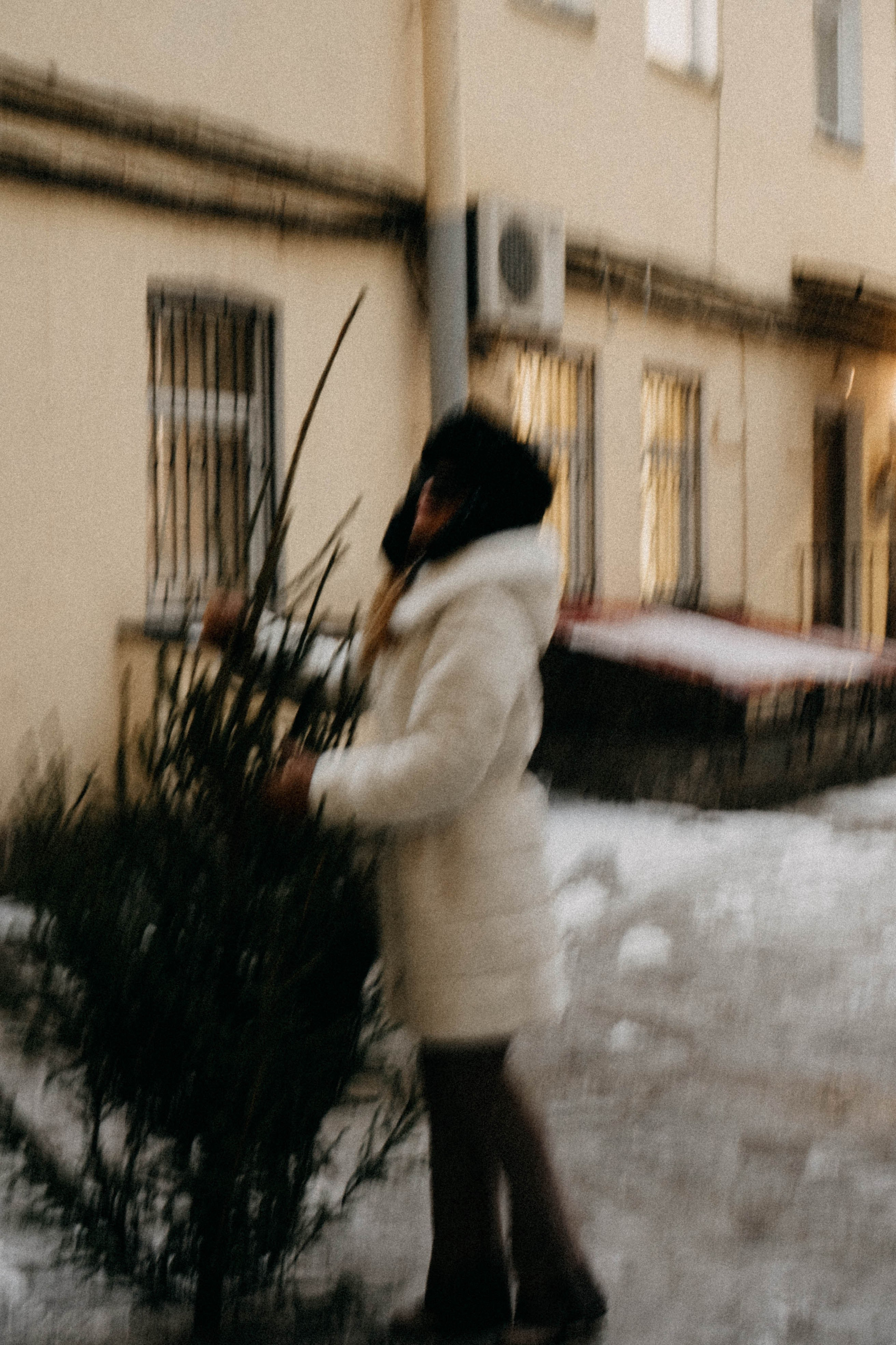 Новогодняя. Профессиональный фотограф, Санкт-Петербург — Виктория Богомолова