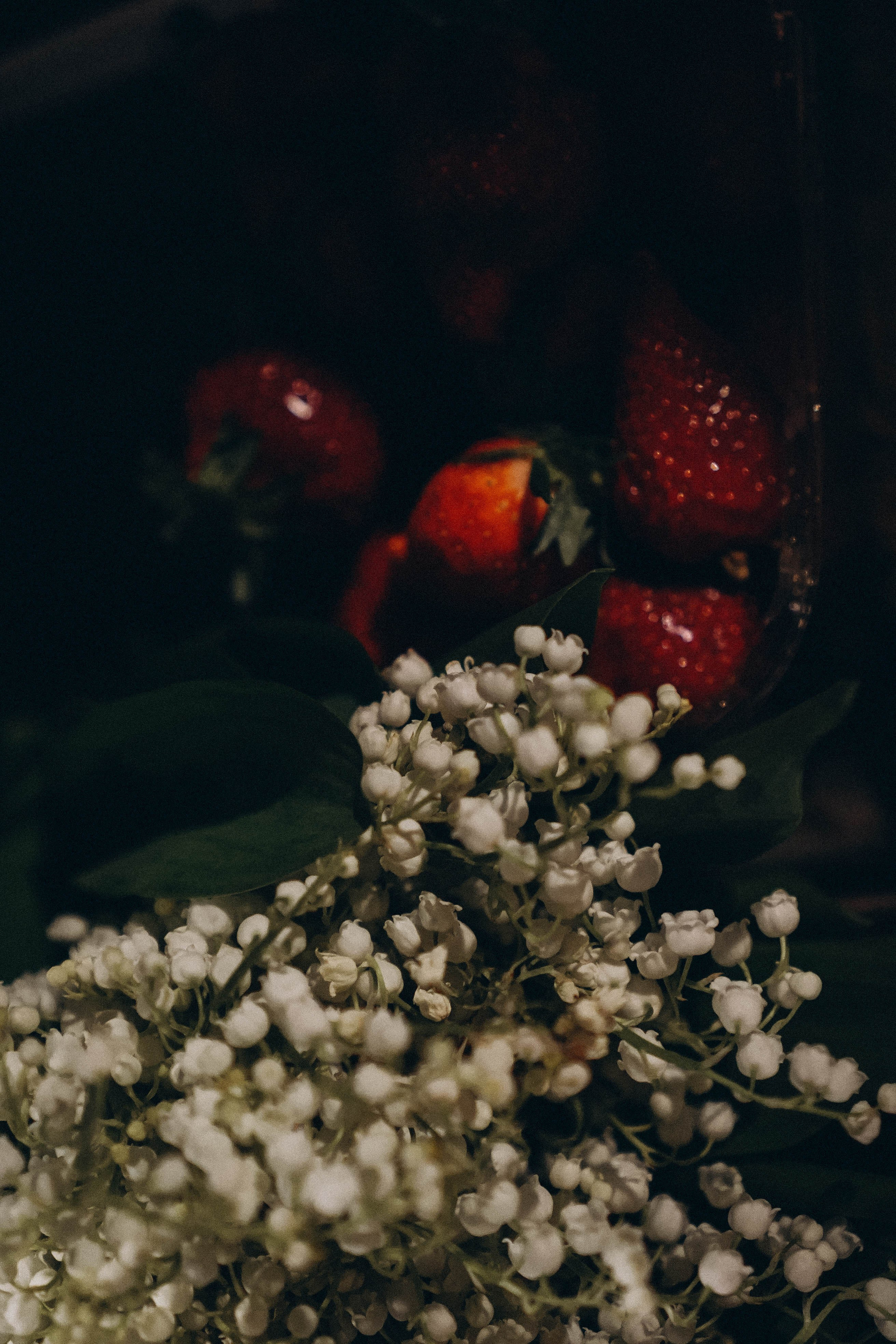 Вечернее кафе. Профессиональный фотограф, Санкт-Петербург — Виктория Богомолова