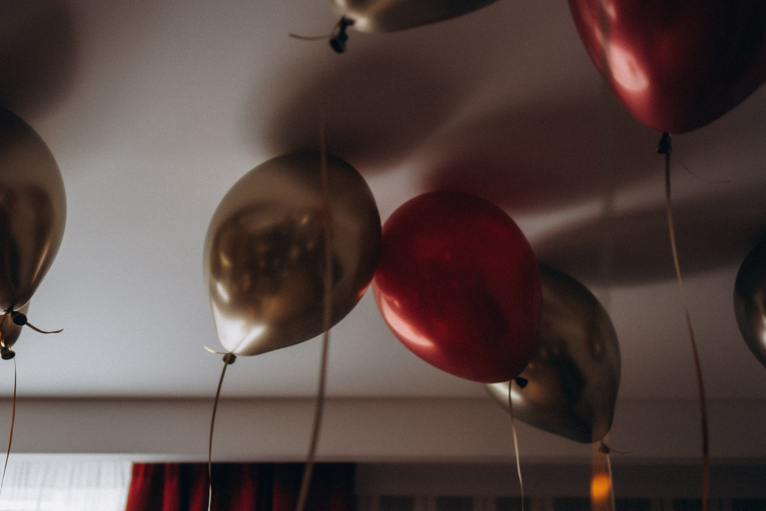 ДЕНЬ РОЖДЕНИЯ. Профессиональный фотограф, Санкт-Петербург — Виктория Богомолова