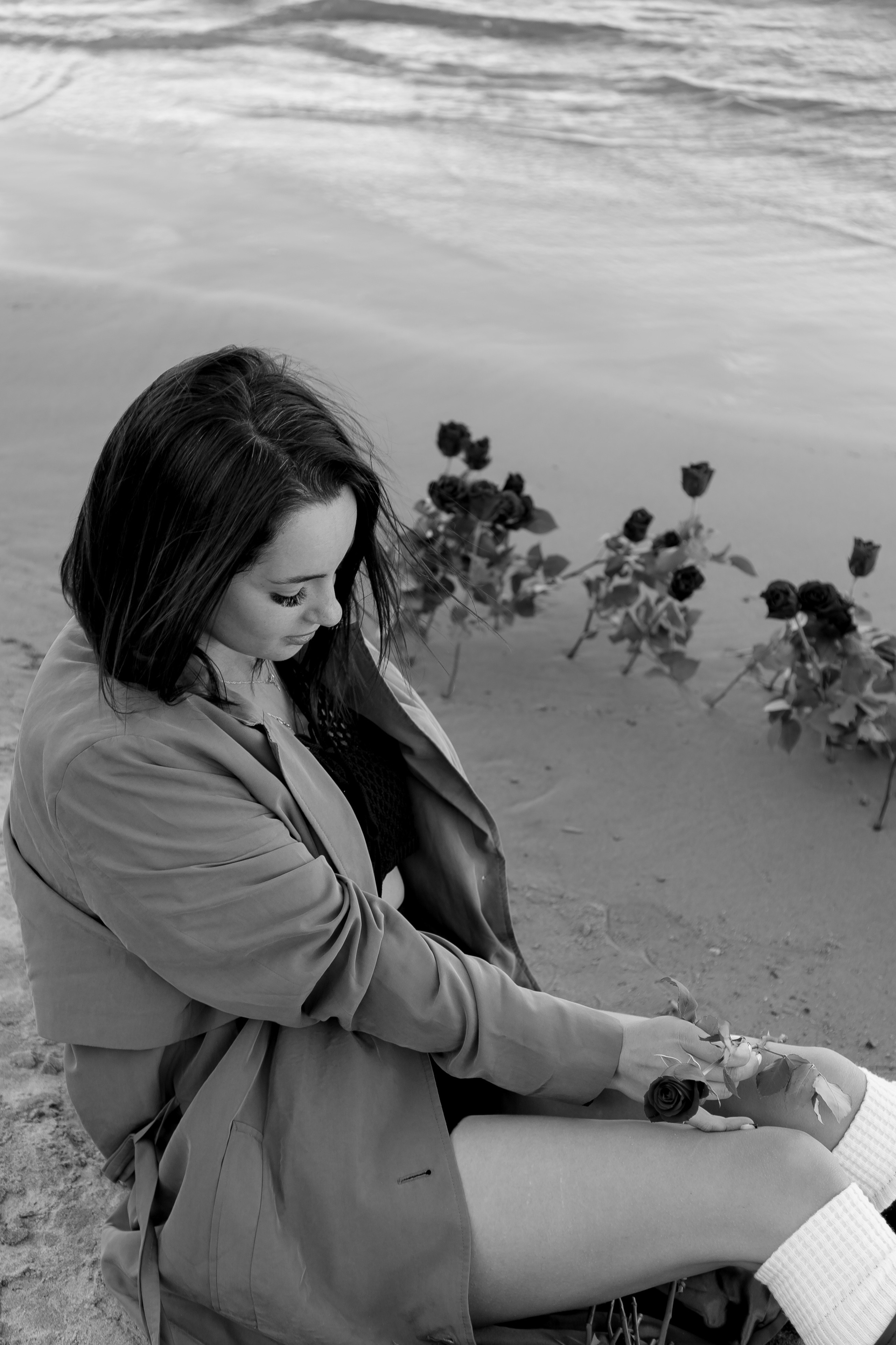 Розы. Профессиональный фотограф, Санкт-Петербург — Виктория Богомолова