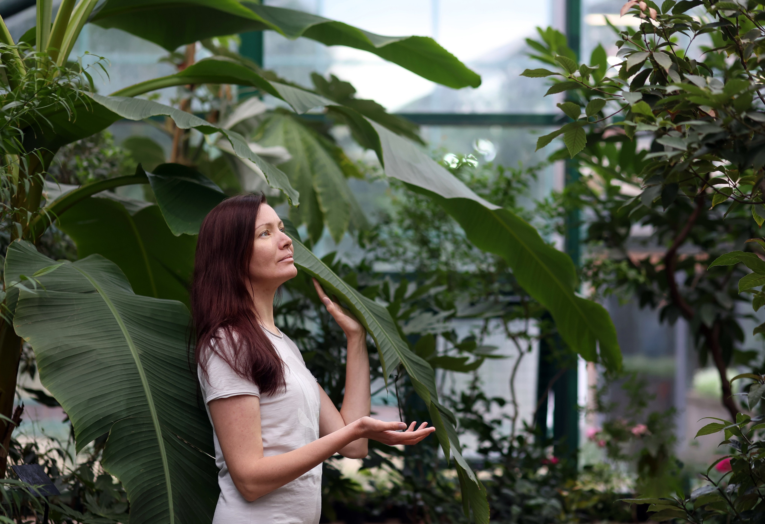 Йога. Гортензии. Тропики в Аптекарском огороде. Портретный фотограф Москва