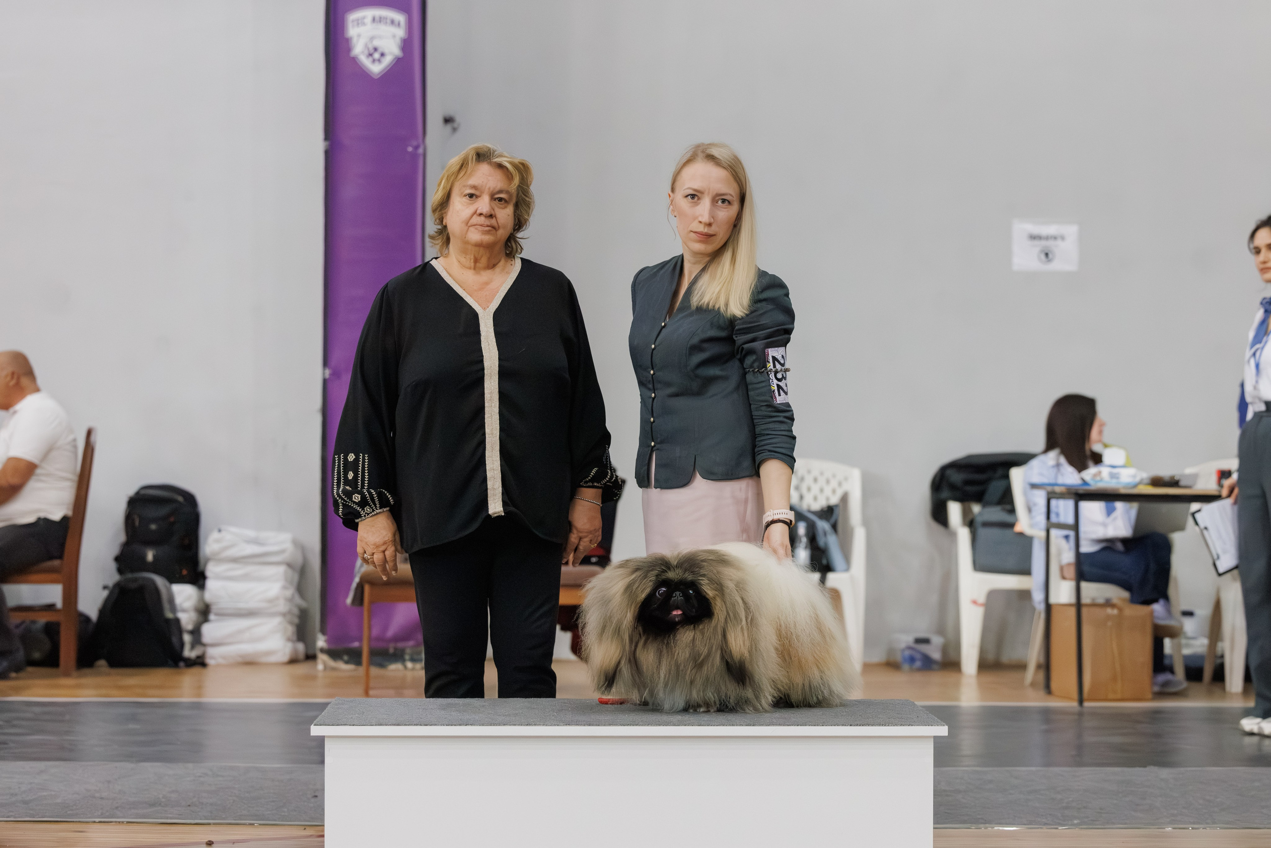 Ереван 2х CACIB 29-30.04.2025. Фотограф-анималист Юлия Германика