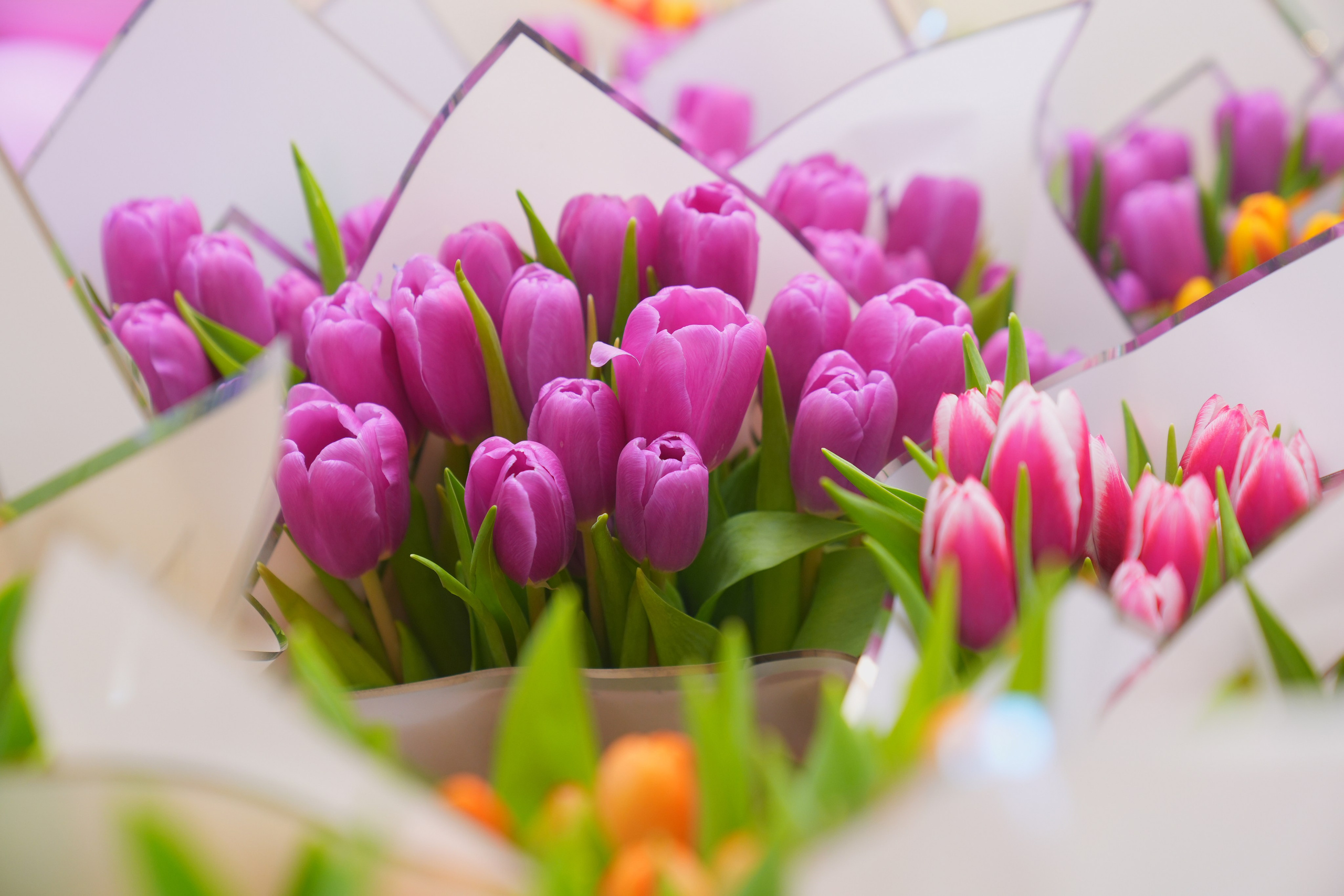 Еда, маркетплейсы, предметные и контент снимки. Репортажный фотограф в Калининграде Морозов Кирилл