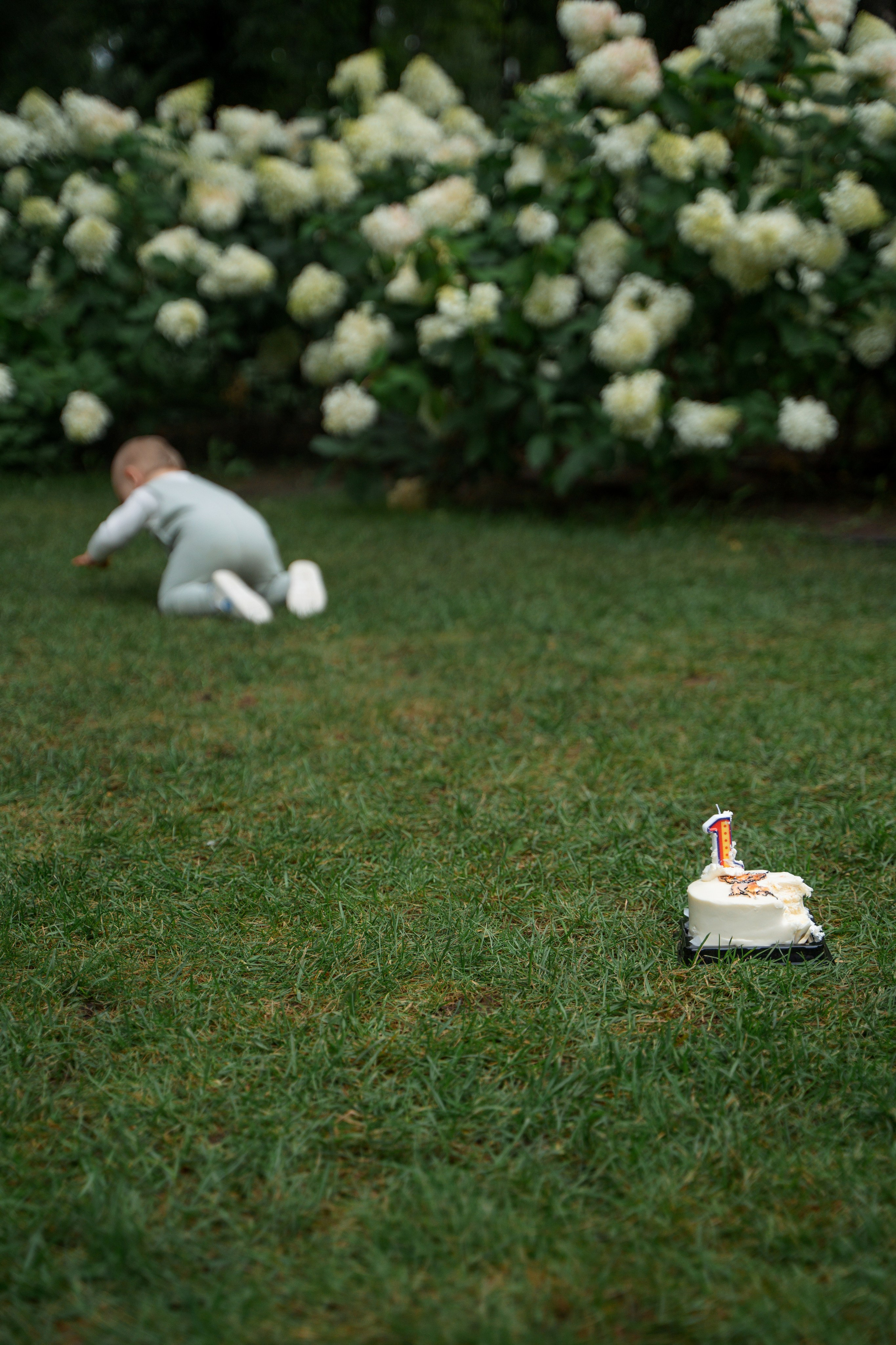 Парк. Фотограф Мария Зайчик
