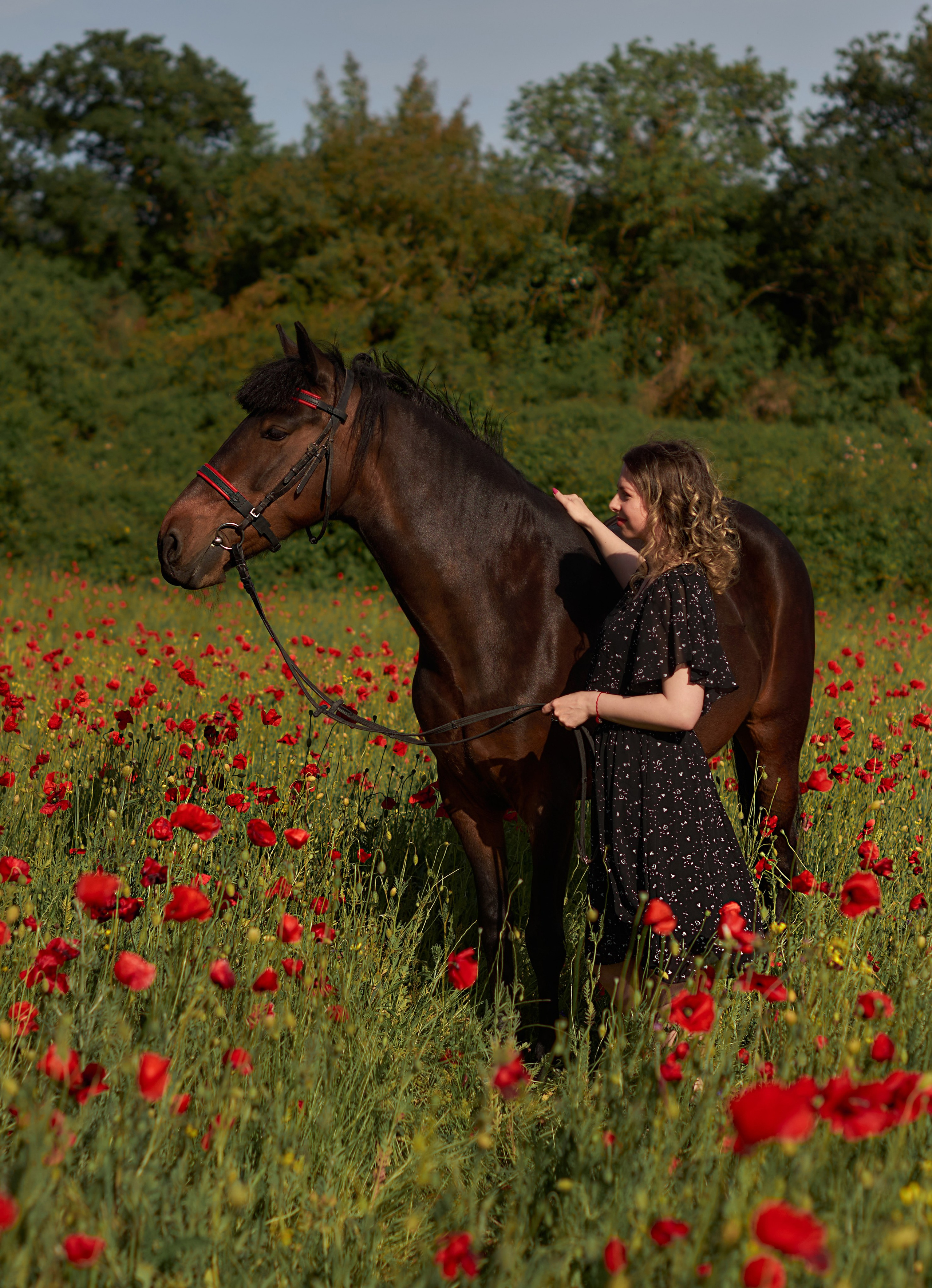 Фотосессия с лошадью Севастополь. Фотограф в Севастополе