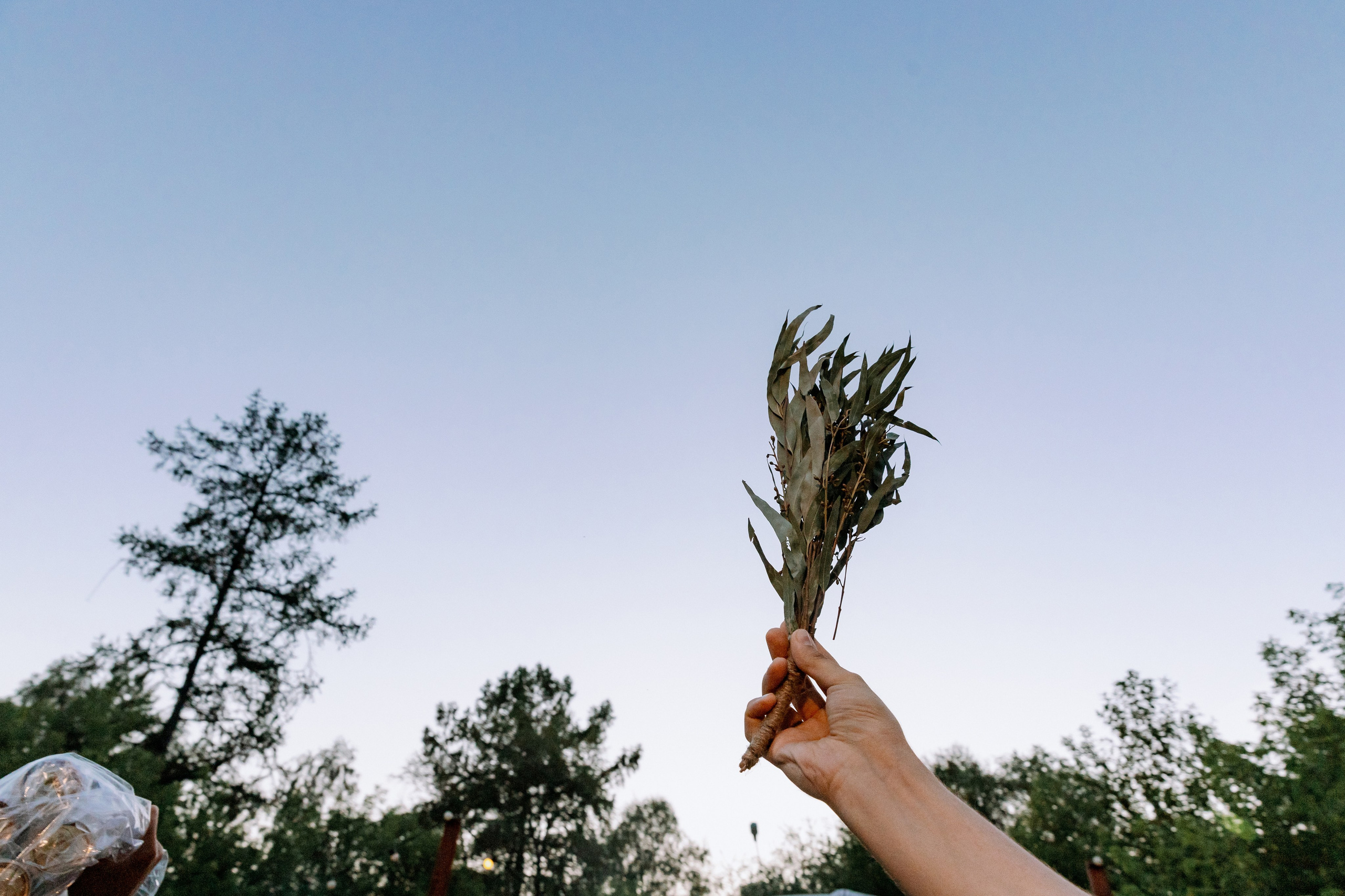 10.08.2023 Дмитрий и Виктория. Фотограф в Красноярске