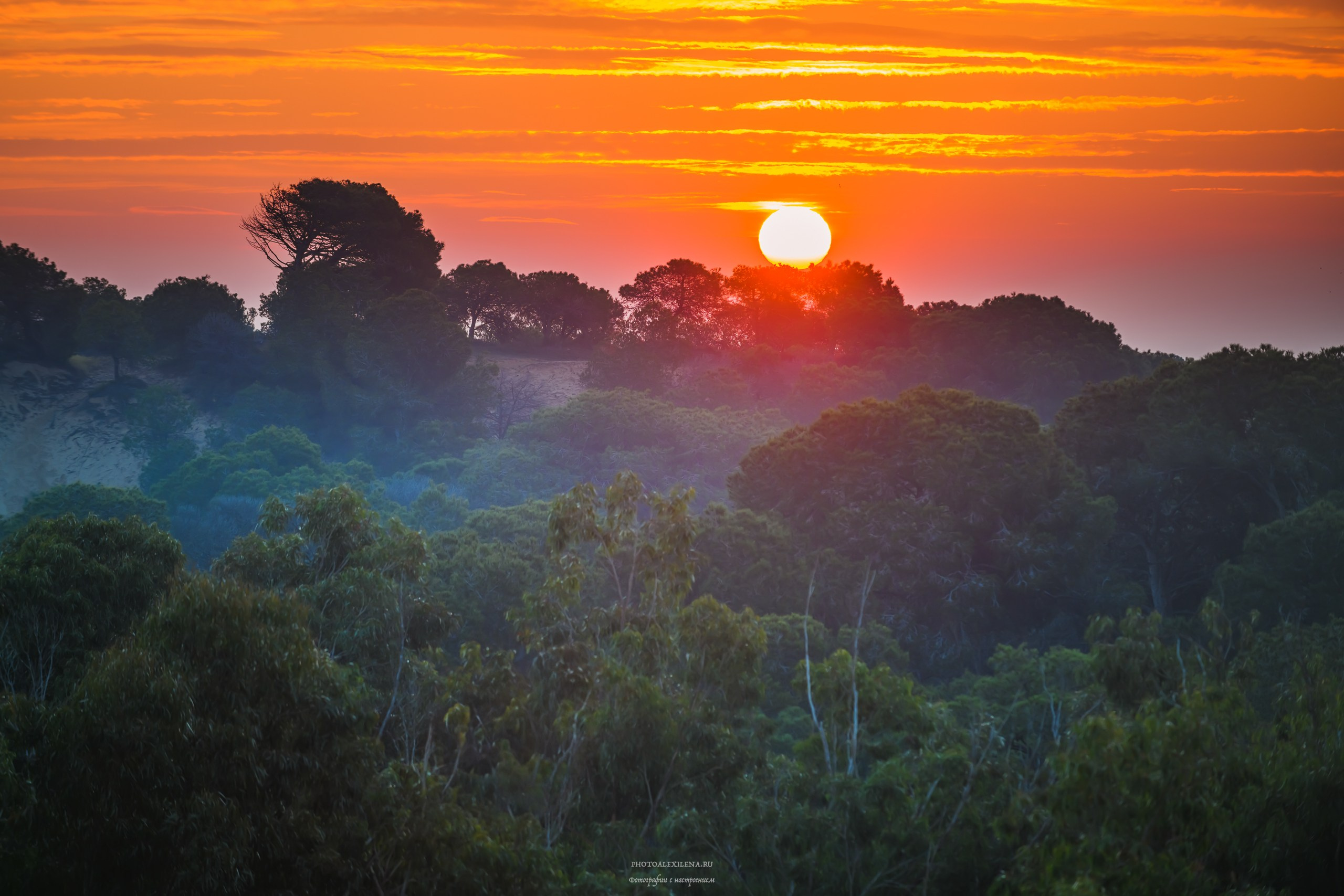 Светило в кадре. Авторские стильные фотокартины