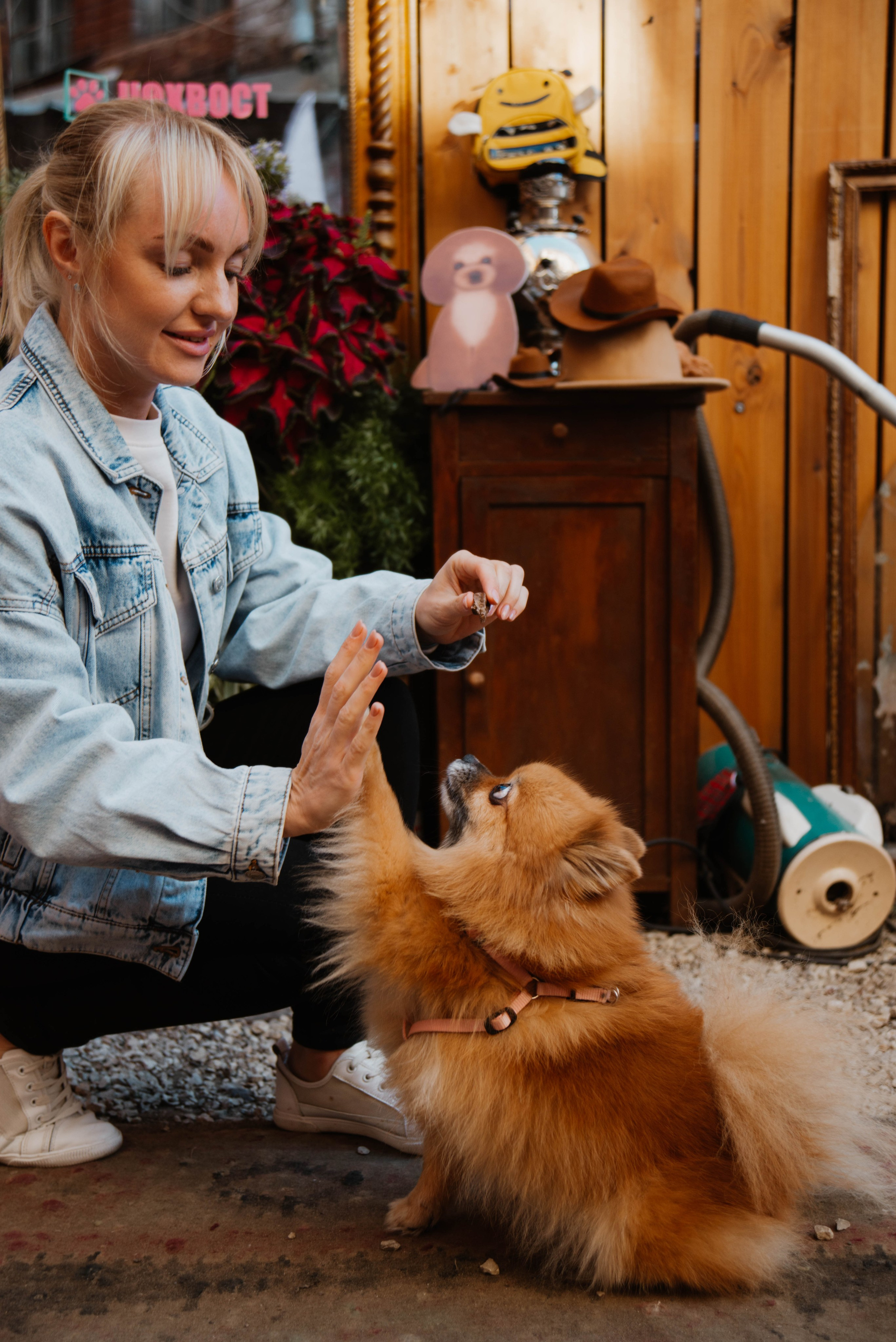 Дог-вечеринка на летнике «Кутёж». Ксения Glossa. Портретный и репортажный фотограф в Самаре