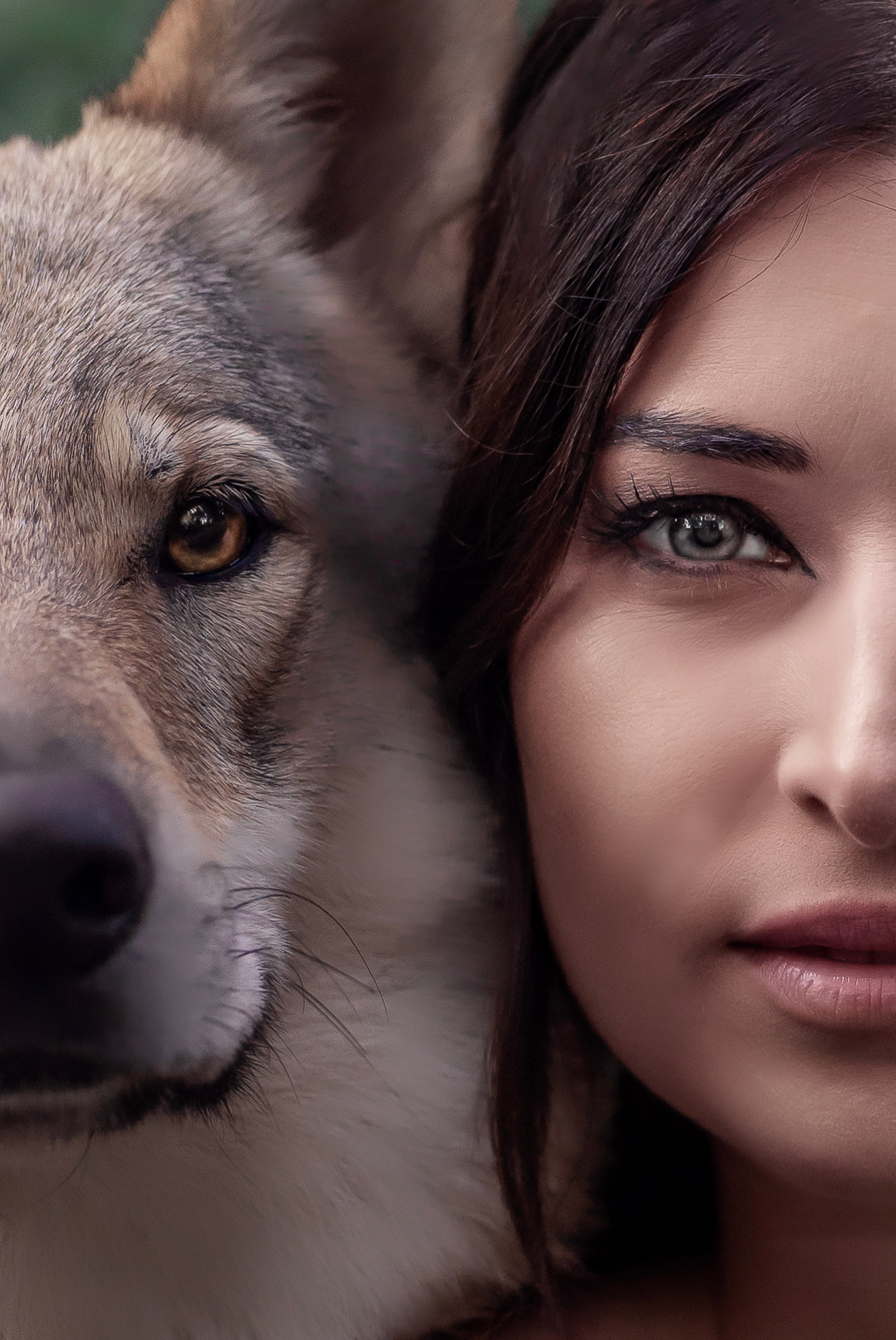 Волки. Профессиональный фотограф в Москве Марина Григорьева