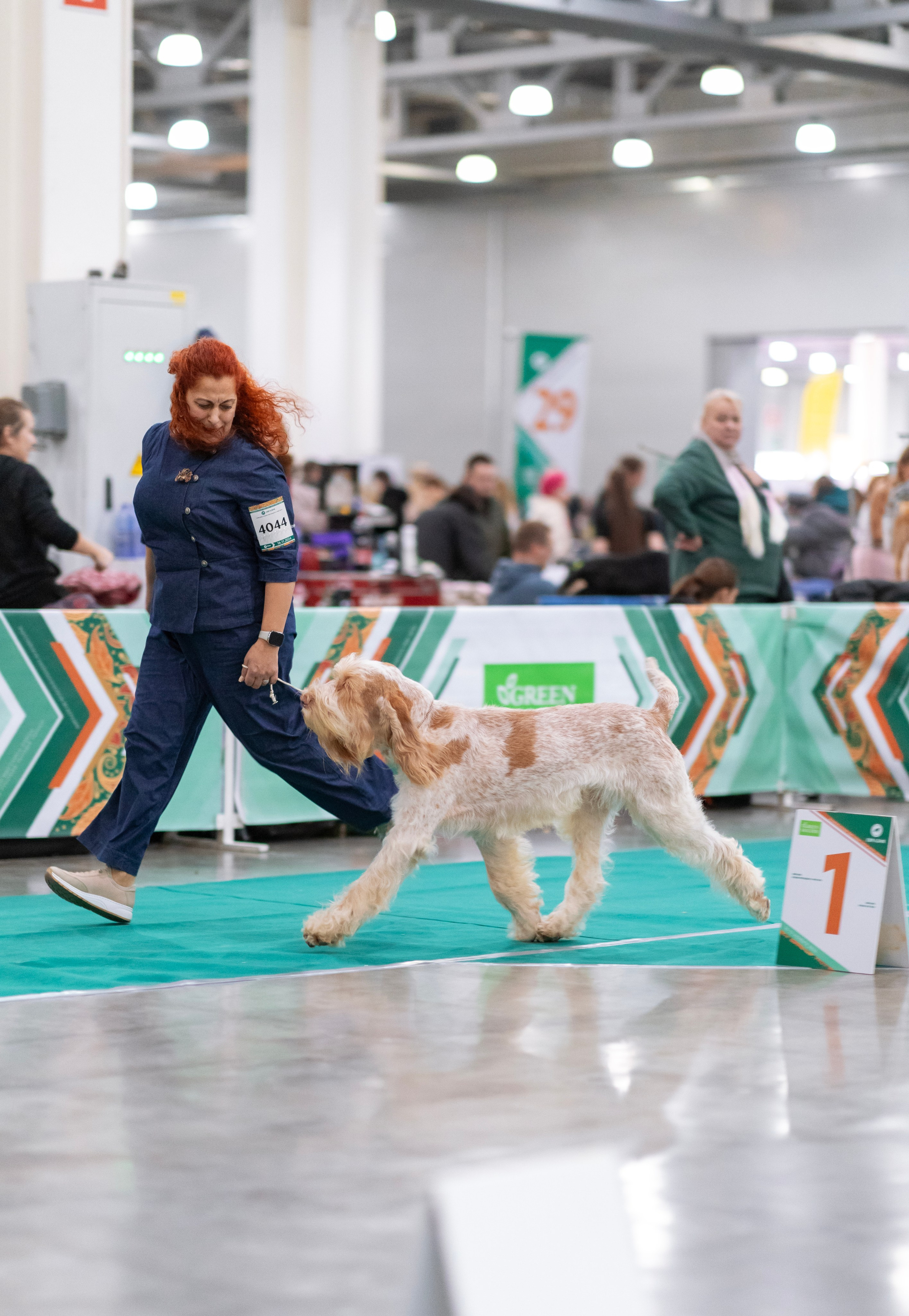 Евразия. Фотограф — анималист Татьяна Ли