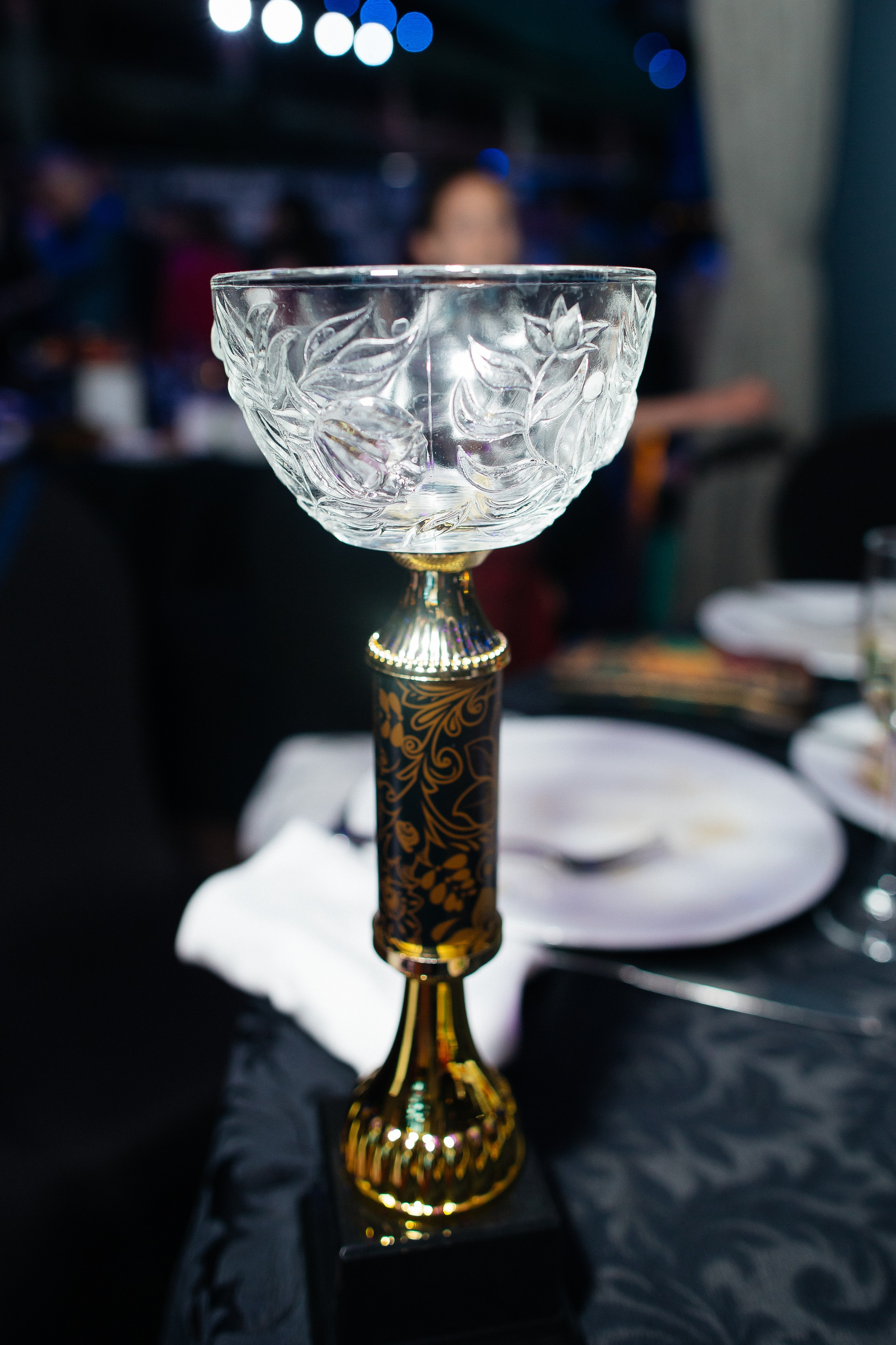 Светская хроника. Фотограф в Москве