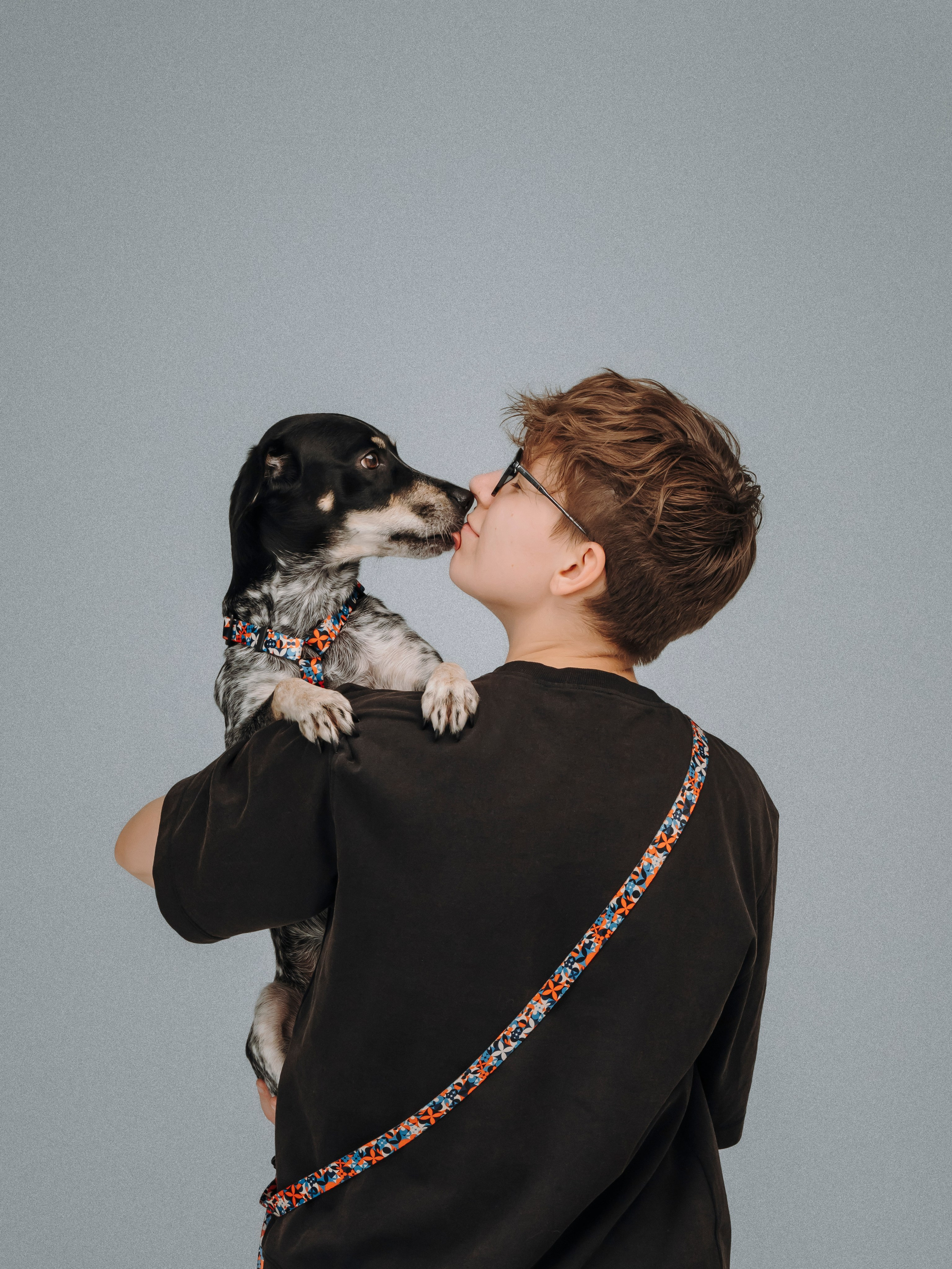 B&F. Амуниция. Семейный фотограф анималист Ананьева Мария — Москва