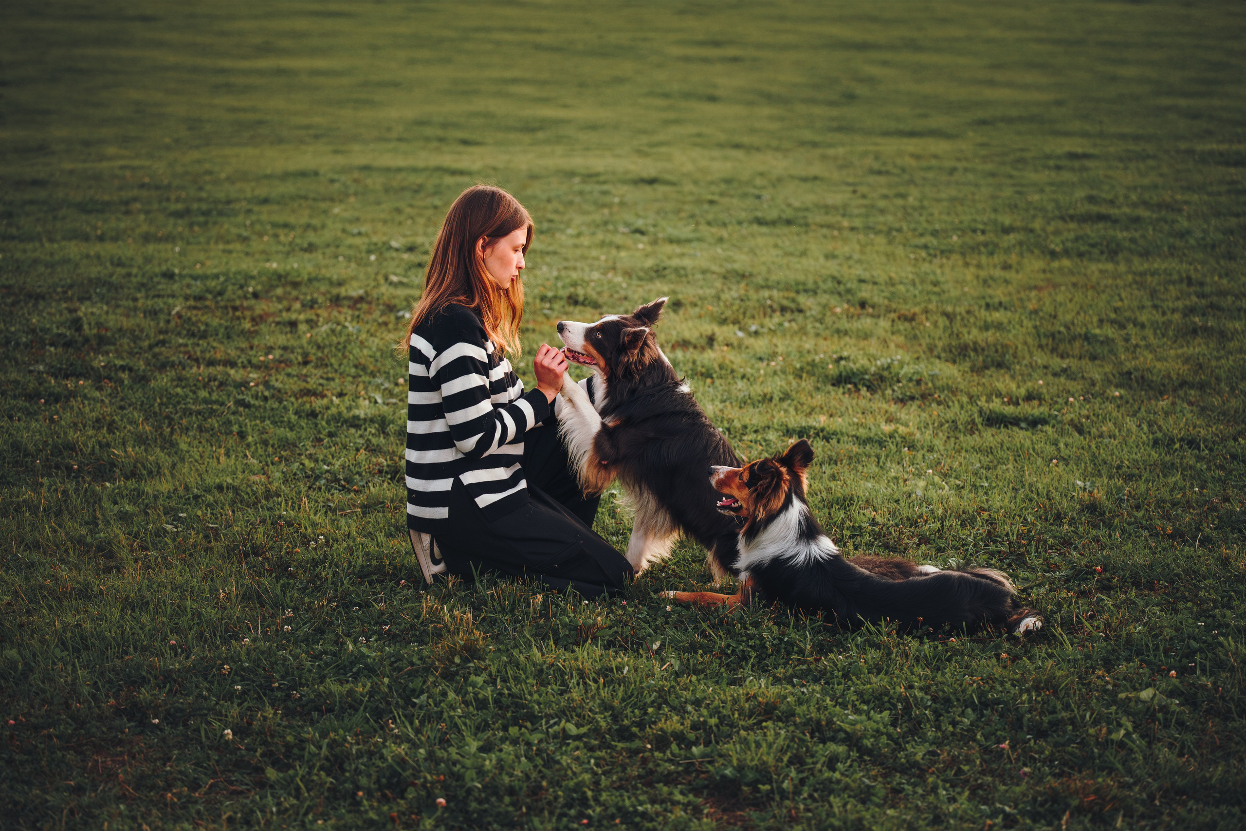Саша, Флик и Эсприт. Семейный фотограф анималист Ананьева Мария — Москва