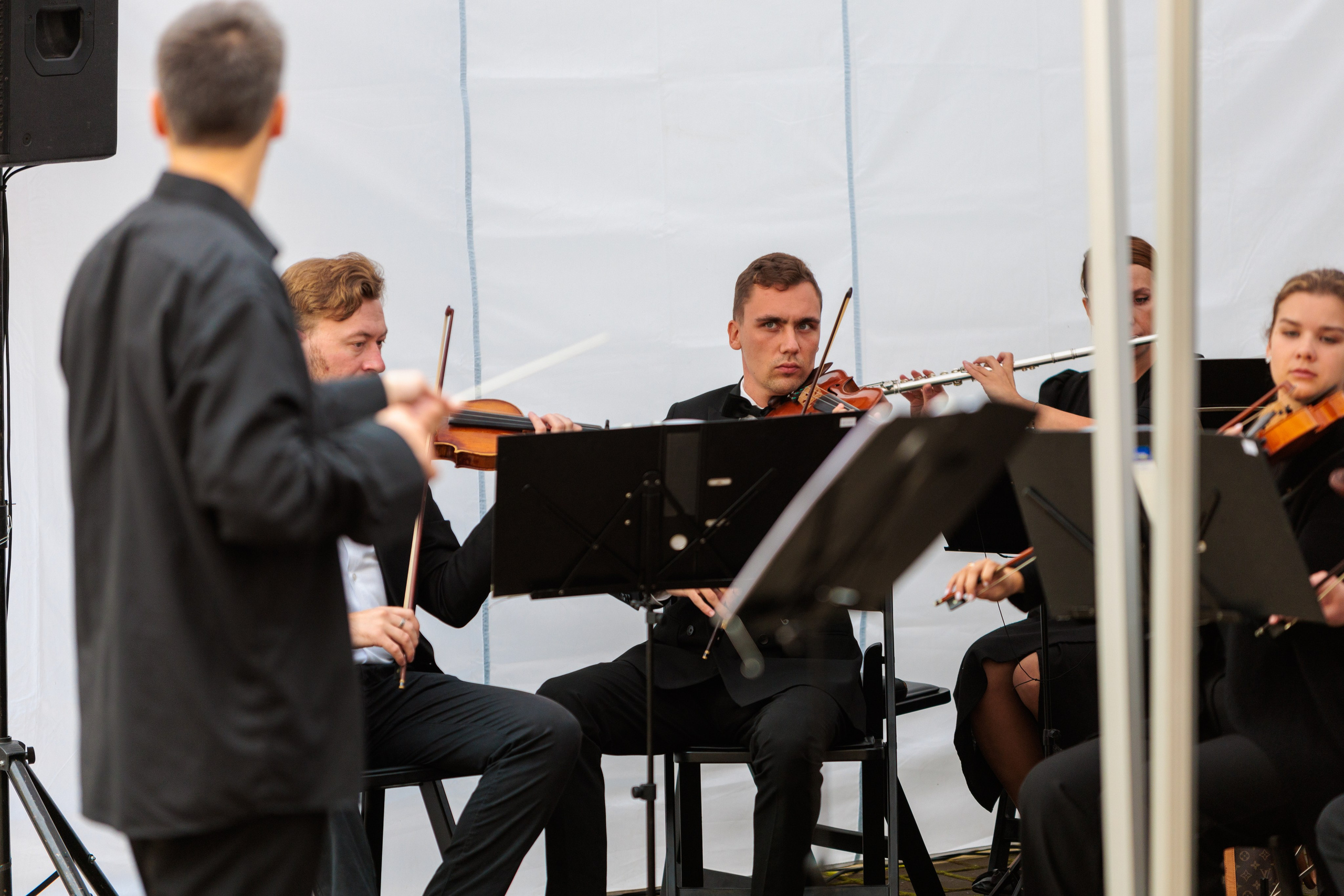 Концерт малого симфонического оркестра. Репортажный фотограф Санкт-Петербург | Роман Карбышев