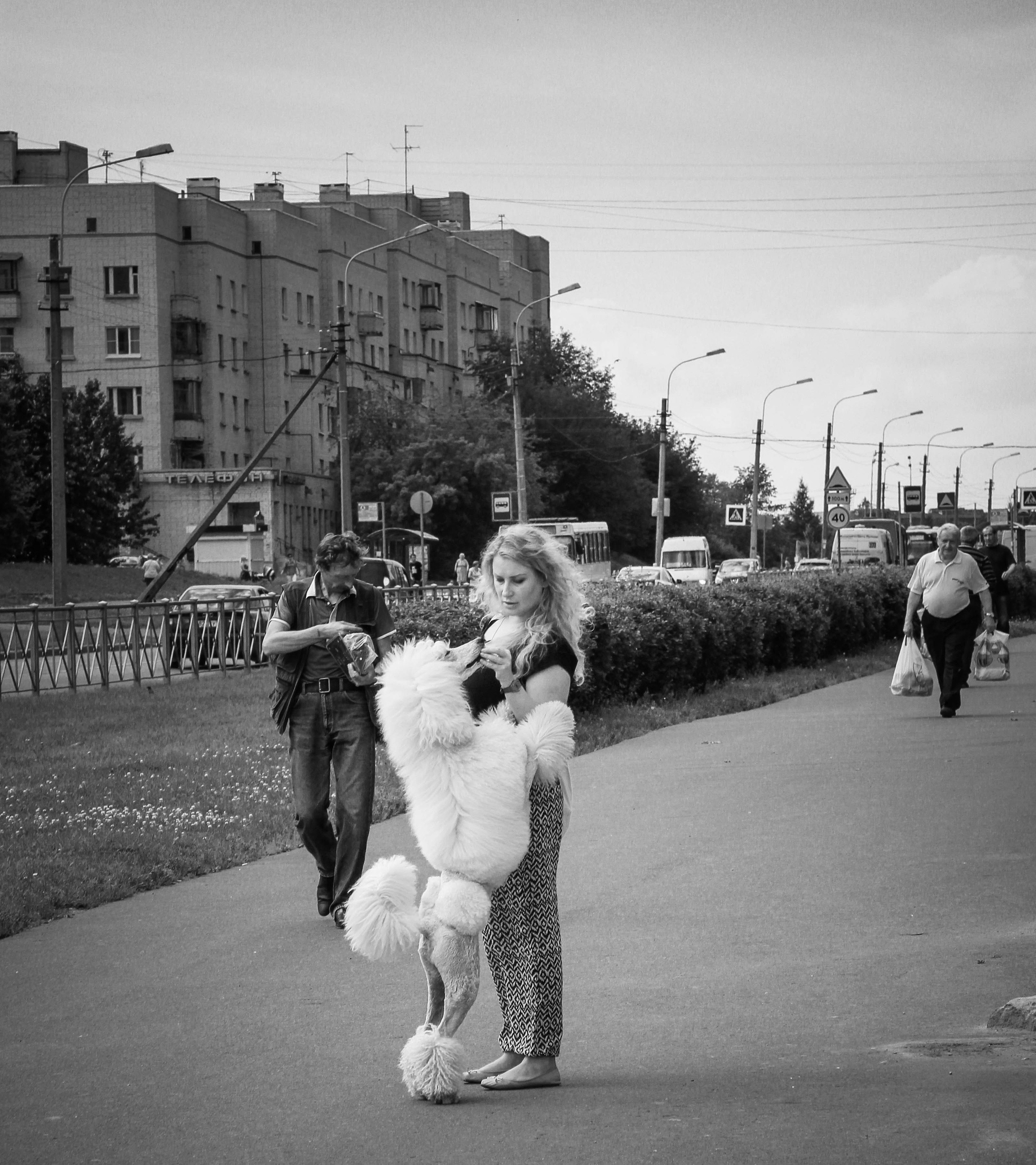 2013. Стрит-фотография, полная абсурда, идиотизма и красоты