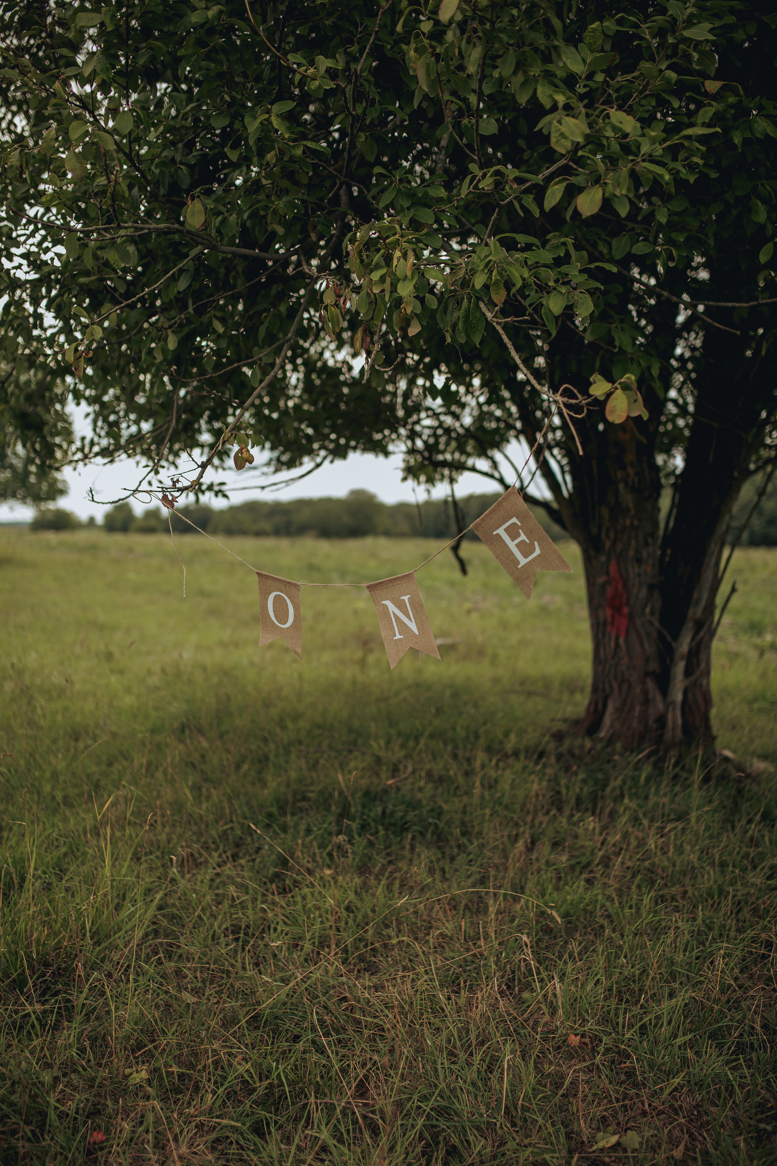 Елизавета 1 годик. Семейный и Свадебный фотограф в Санкт-Петербурге Плохая Екатерина