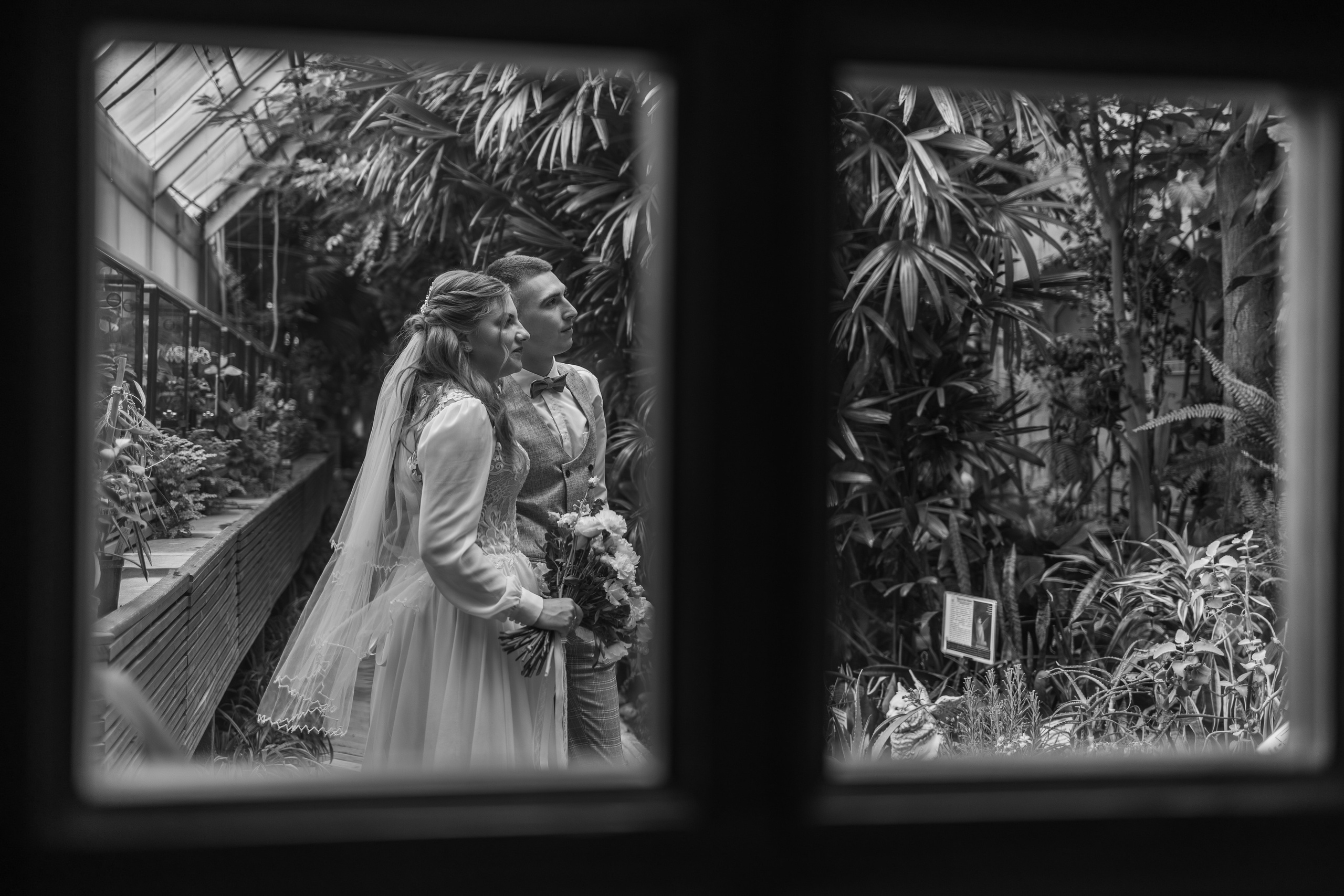 Анастасия и Никита. Екатерина Пашкова, фотограф, видеограф в Томске