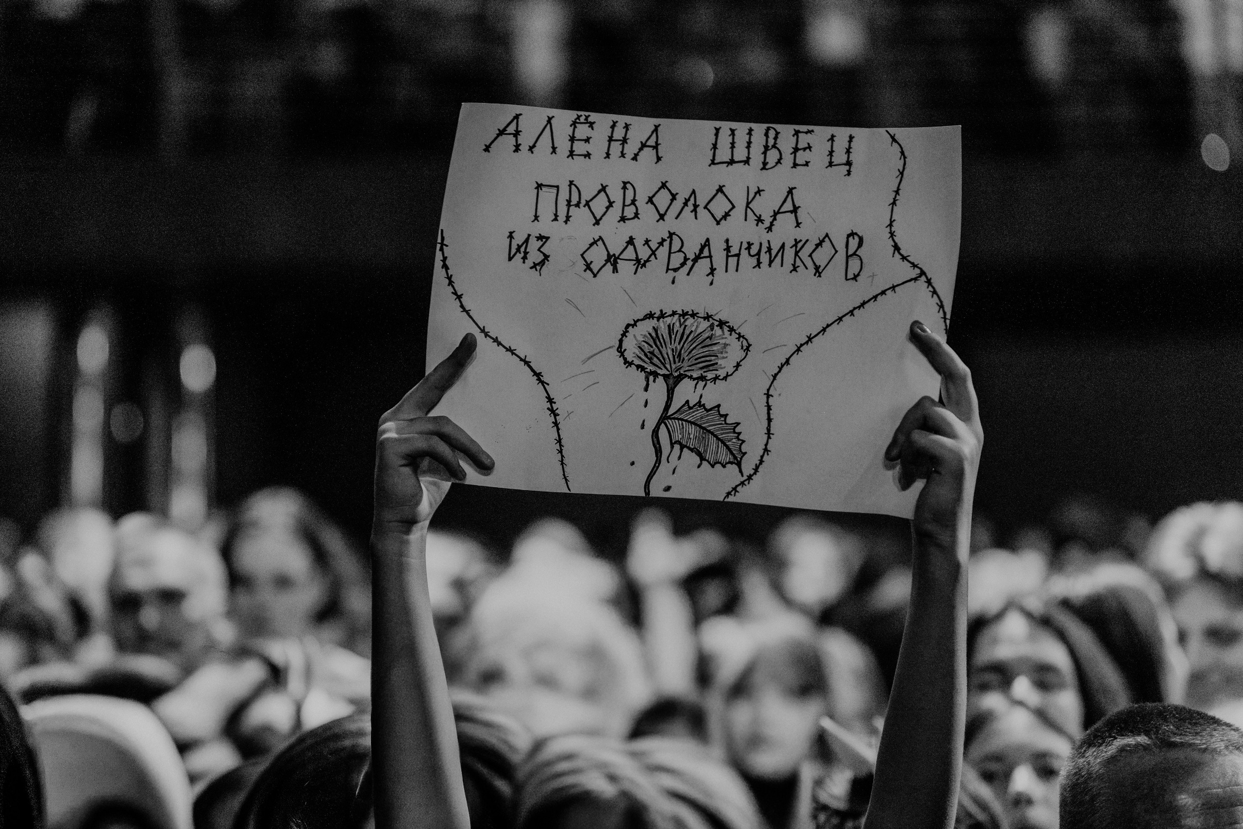 Алена Швец. Магия музыки в кадре: Концертная Фотография