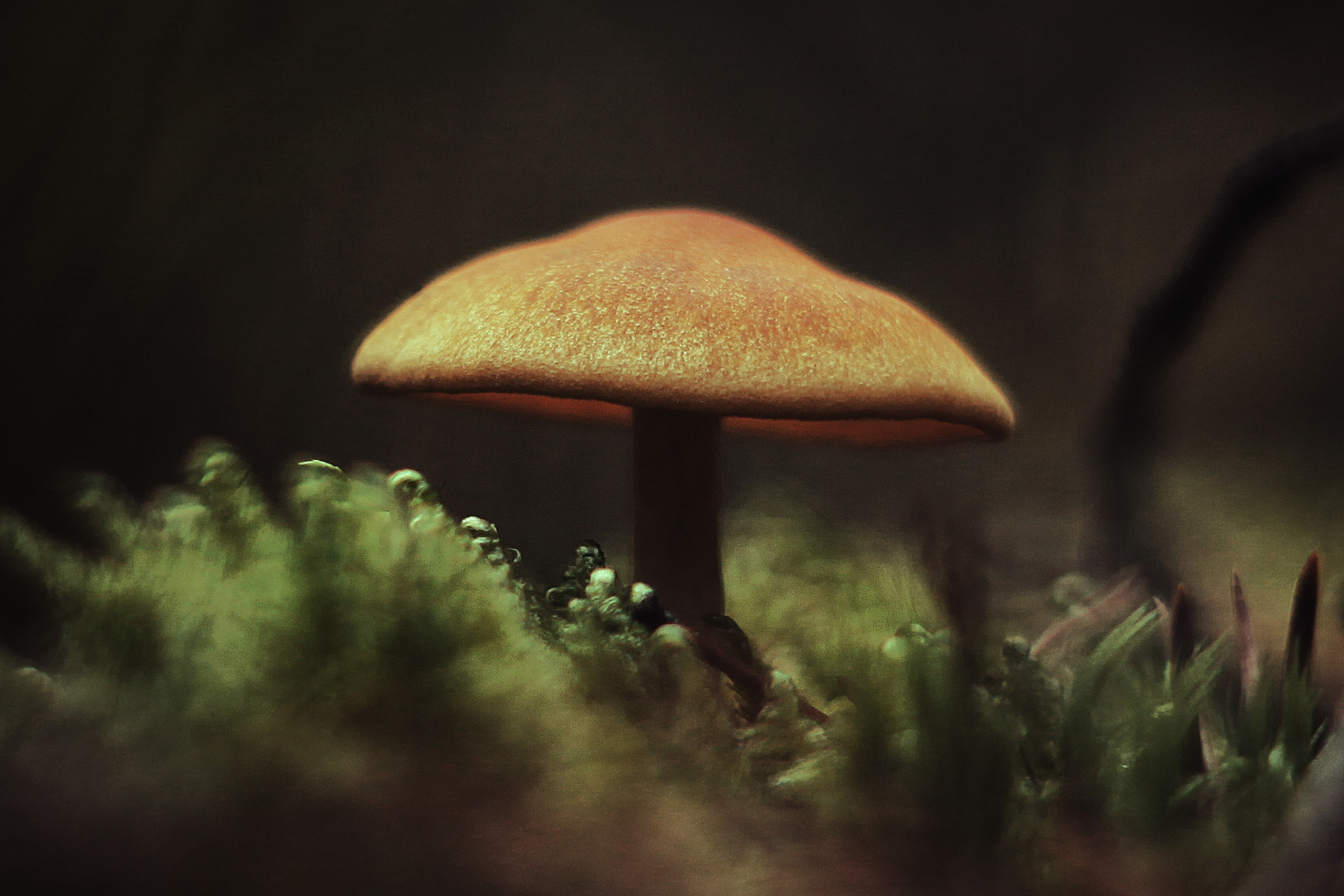 Разное из Разного времени. Ню Фотограф Александр Касымов Москва, фотосессии, Химки фотограф