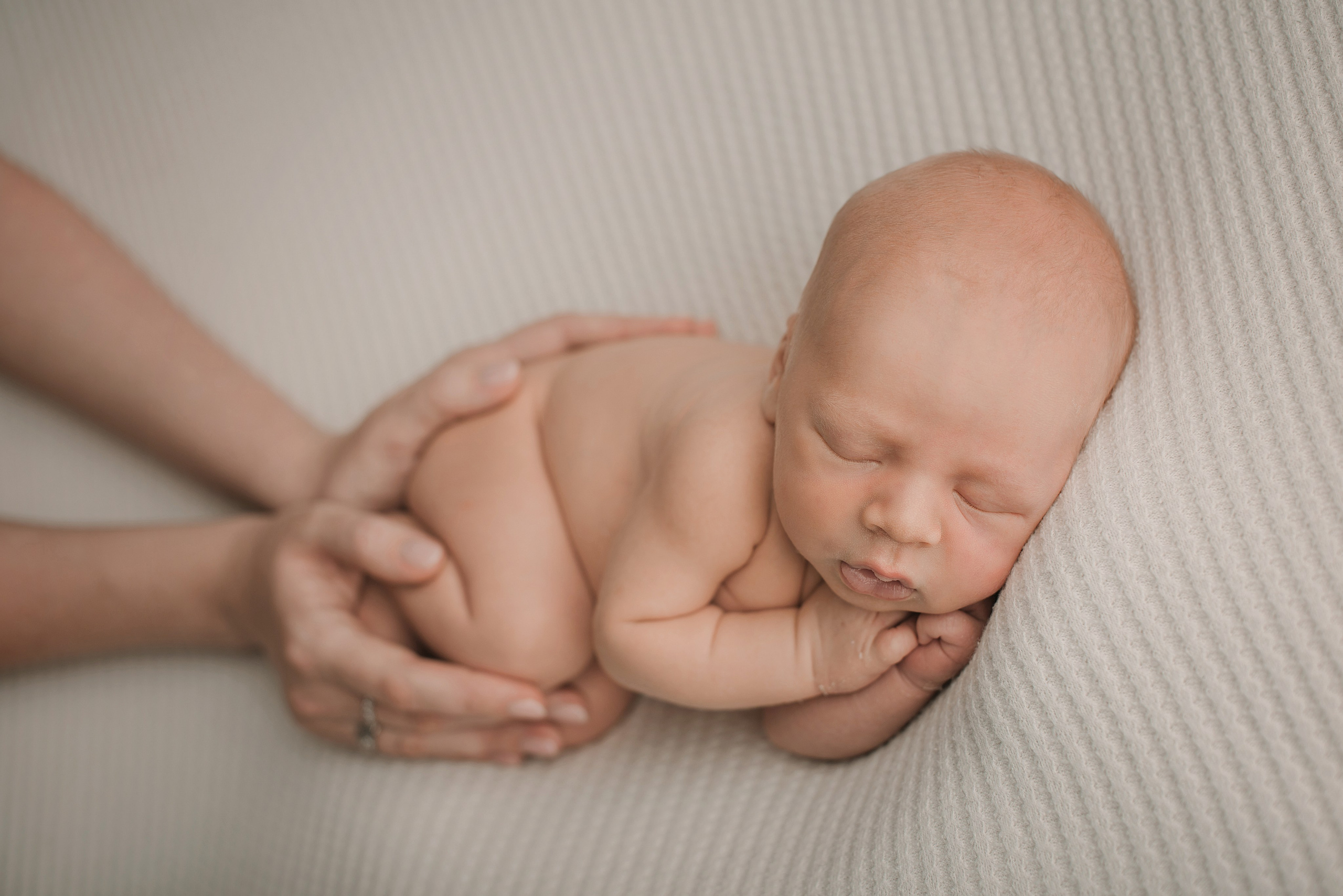 Отзывы. Фотограф новорожденных Василиса Панькова