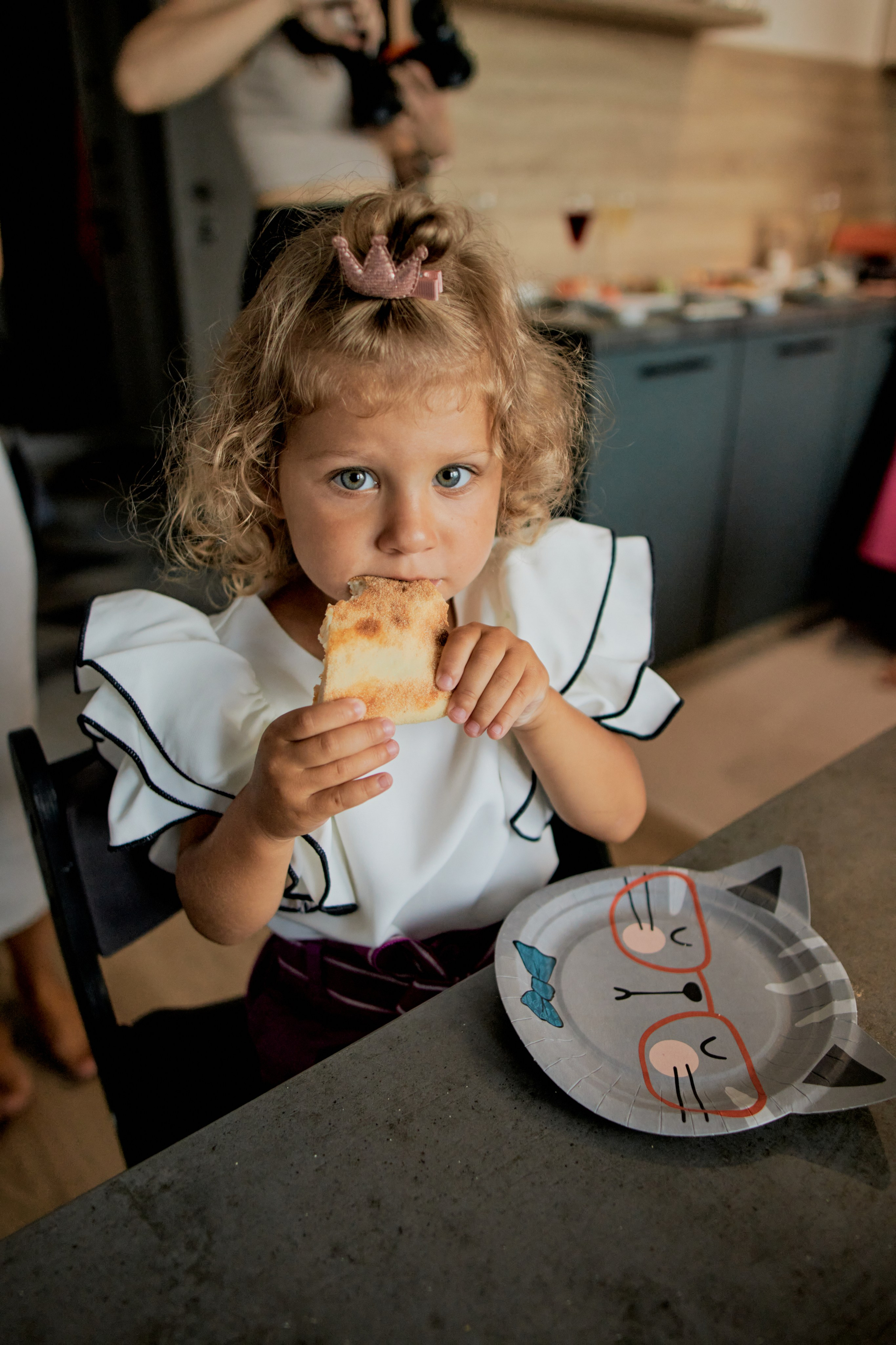 Три кота. Фотограф Москва