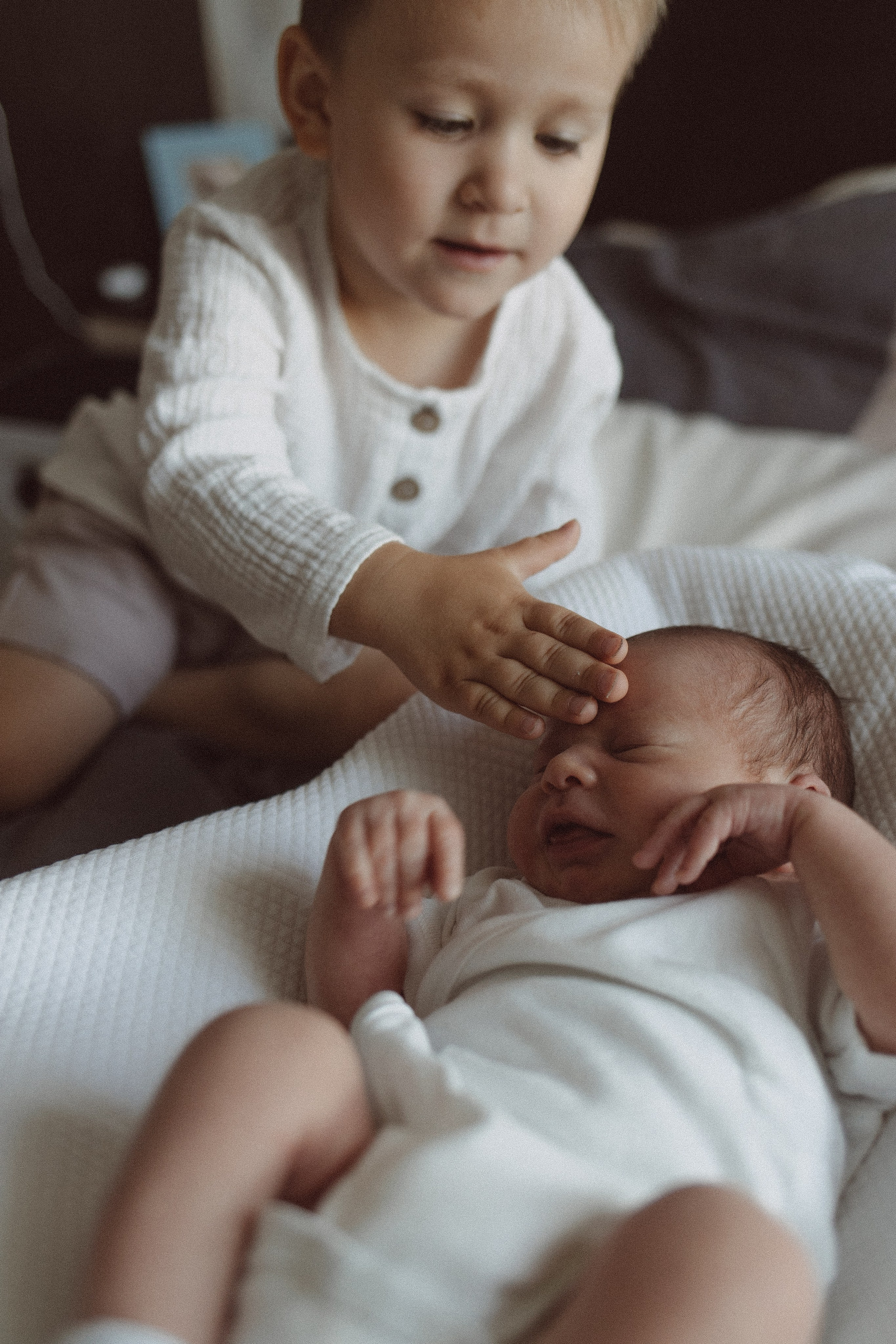 Лев родился. Фотограф Ксения Степаненко