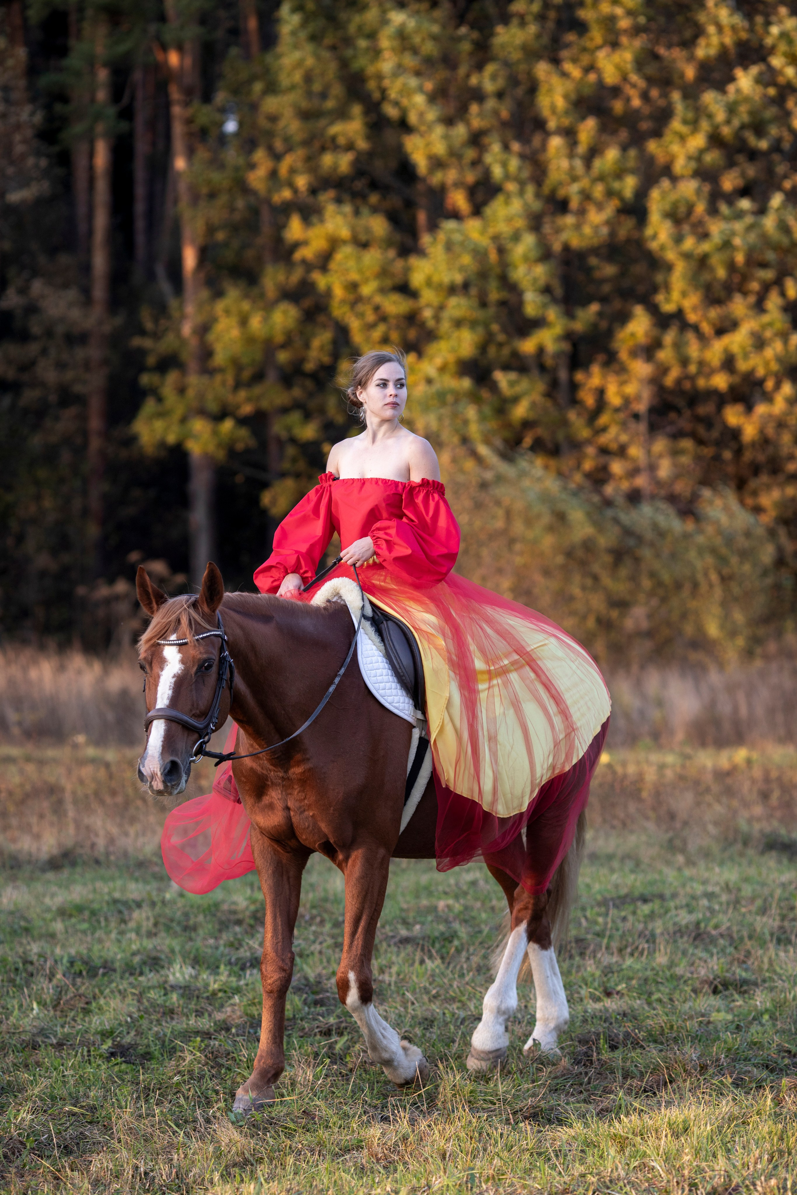 С лошадьми. Фотограф в Москве и в Московской области Сандра