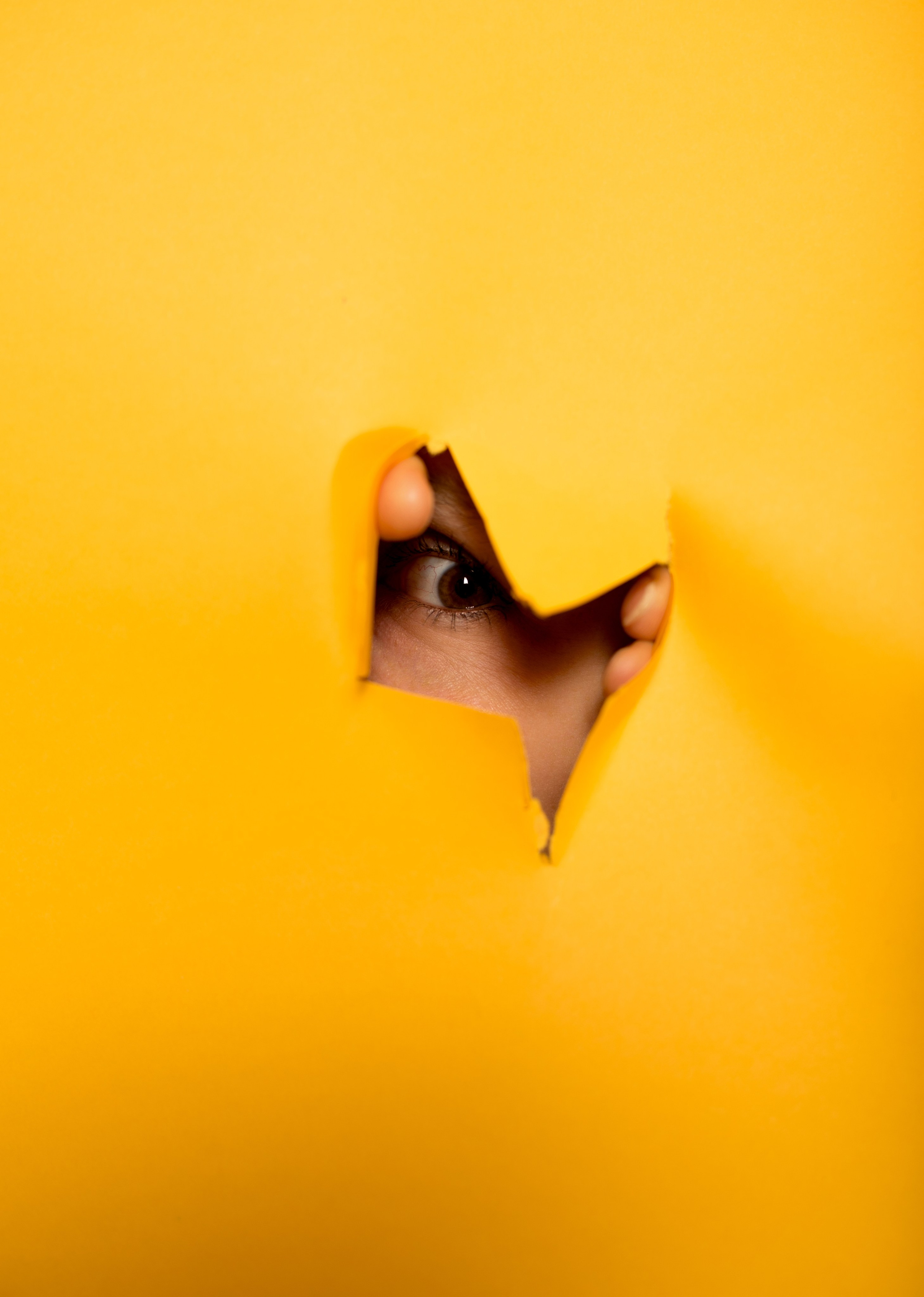 Портфолио. Журавлёва Елена