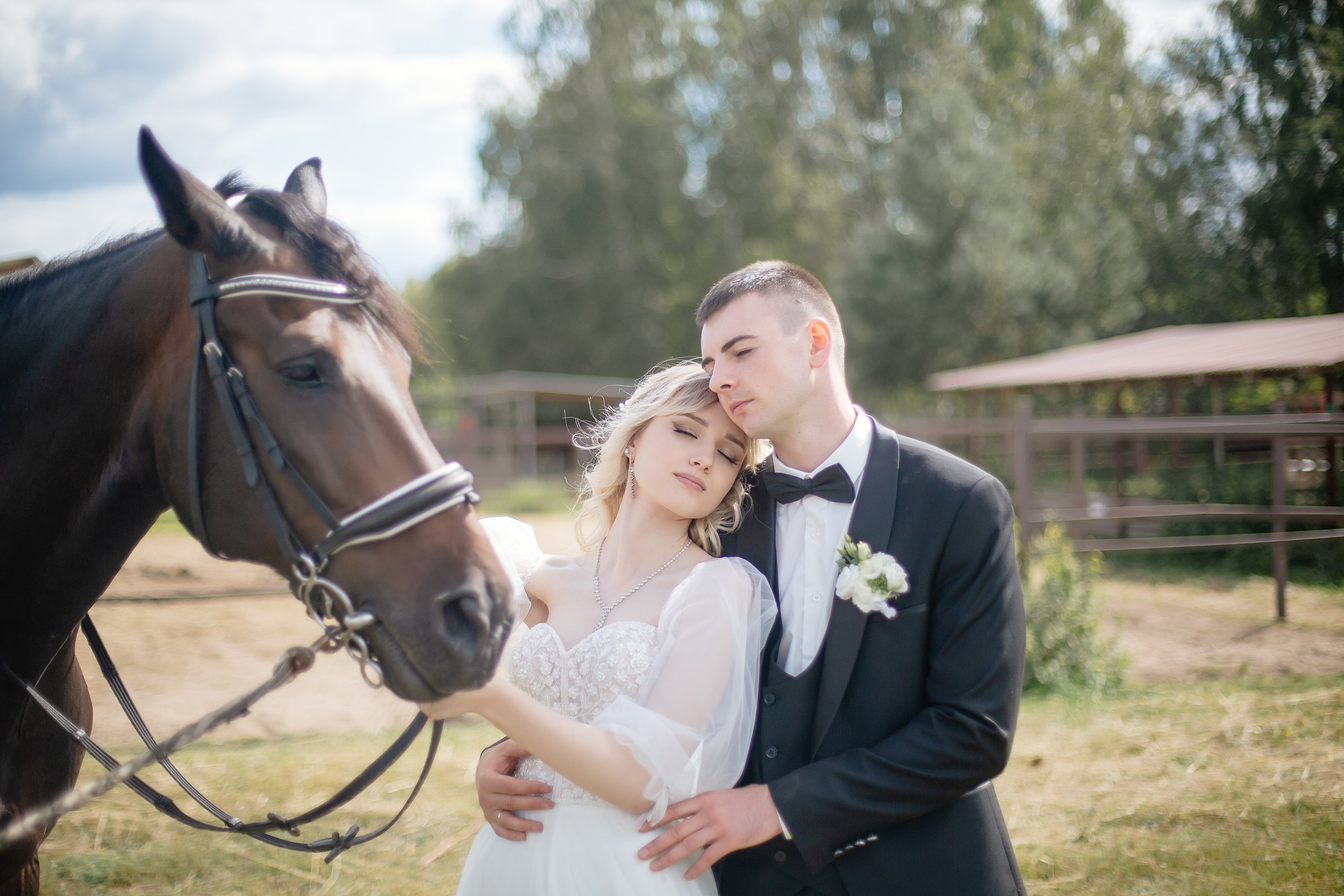 свадьба, свадебный фотограф, свадьба Москва, свадьба Рязань, лошади, свадьба на лошадях