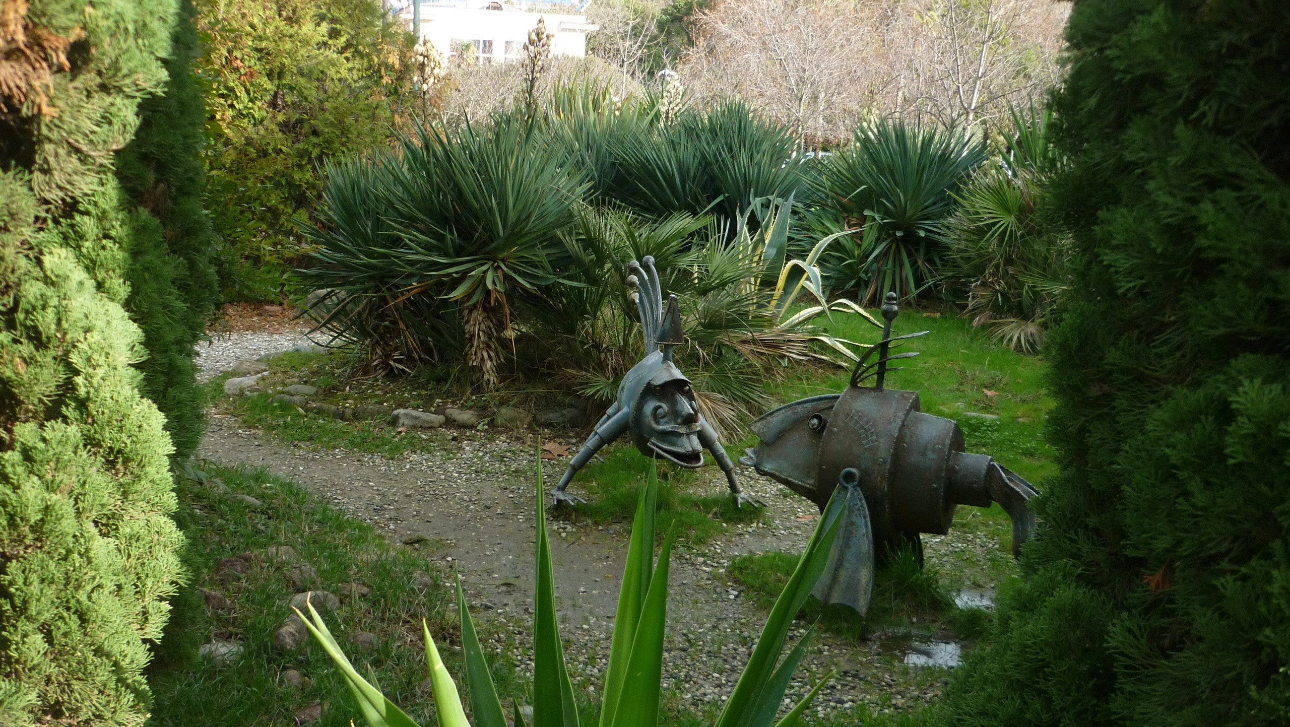 Фотографии Сочи, глазами гида-фотографа. Фотограф в Сочи Елена Лисотина. Фототуры в Сочи