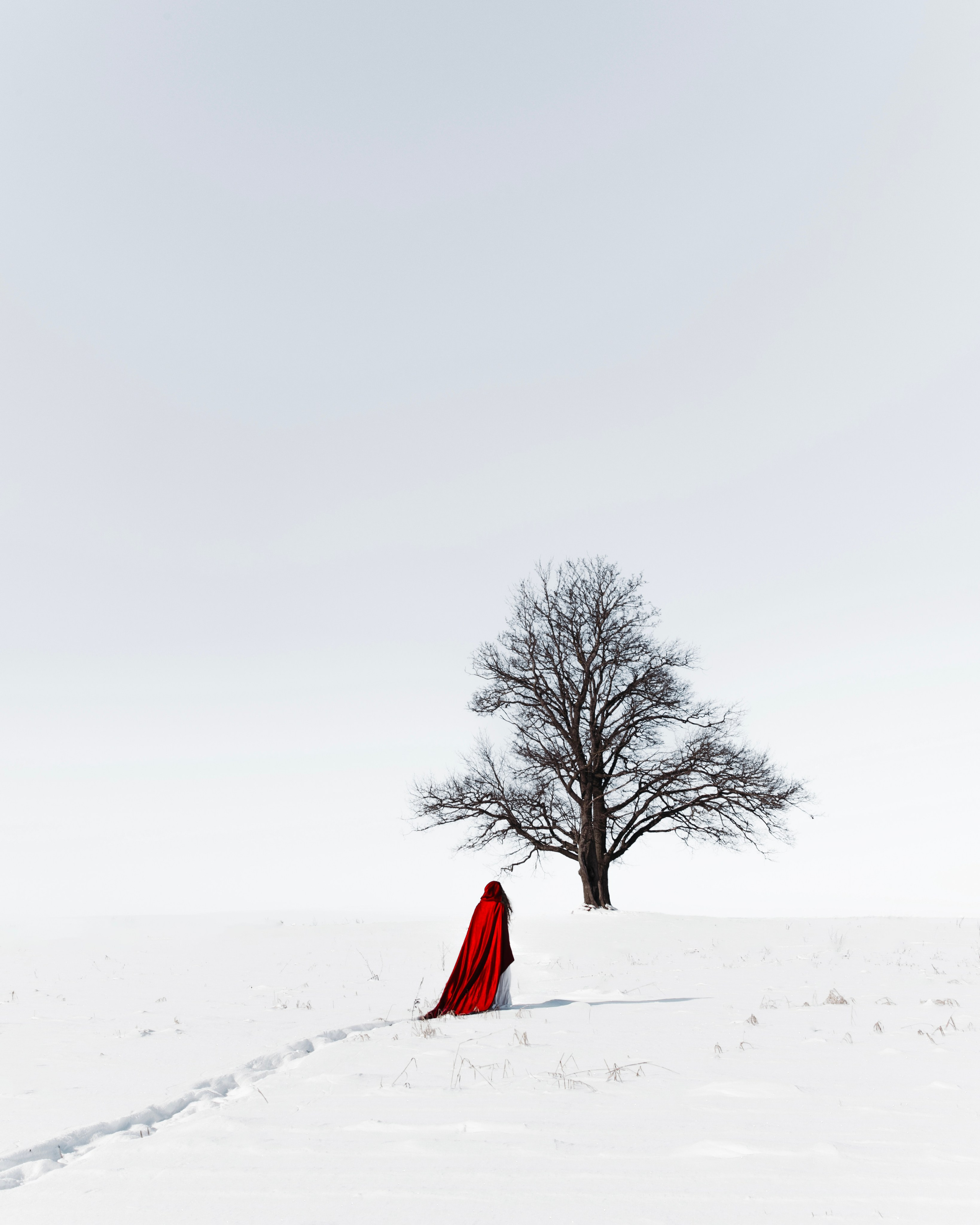 Красная Шапочка. Фотограф Anita Mivchas