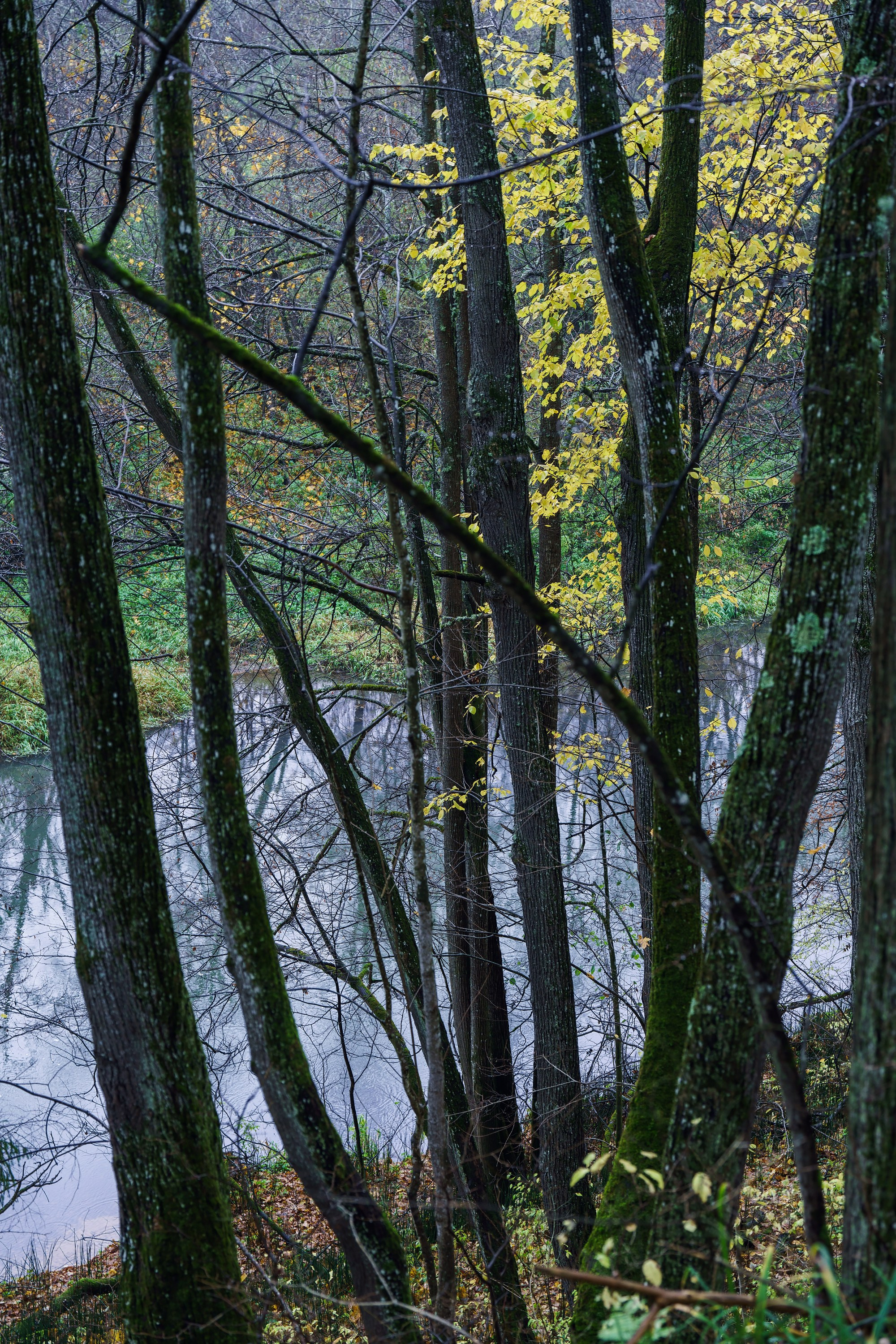 Фотографии Трейл Кутузов 2025. Фотограф спортивные события, недвижимость, турбизнес