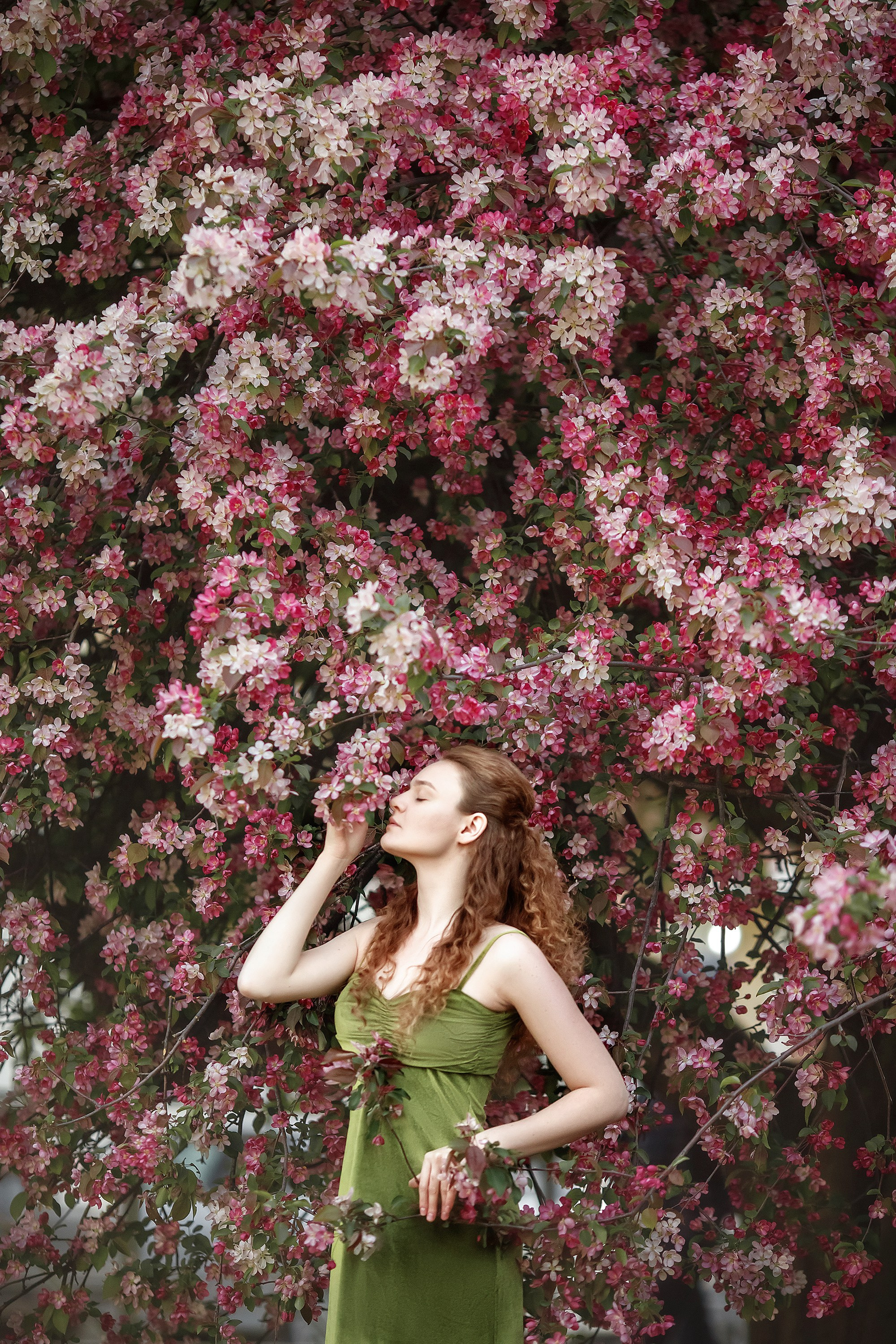 Цветение. Сказочный фотограф фотопроекты фототуры в Новосибирске и на Алтае