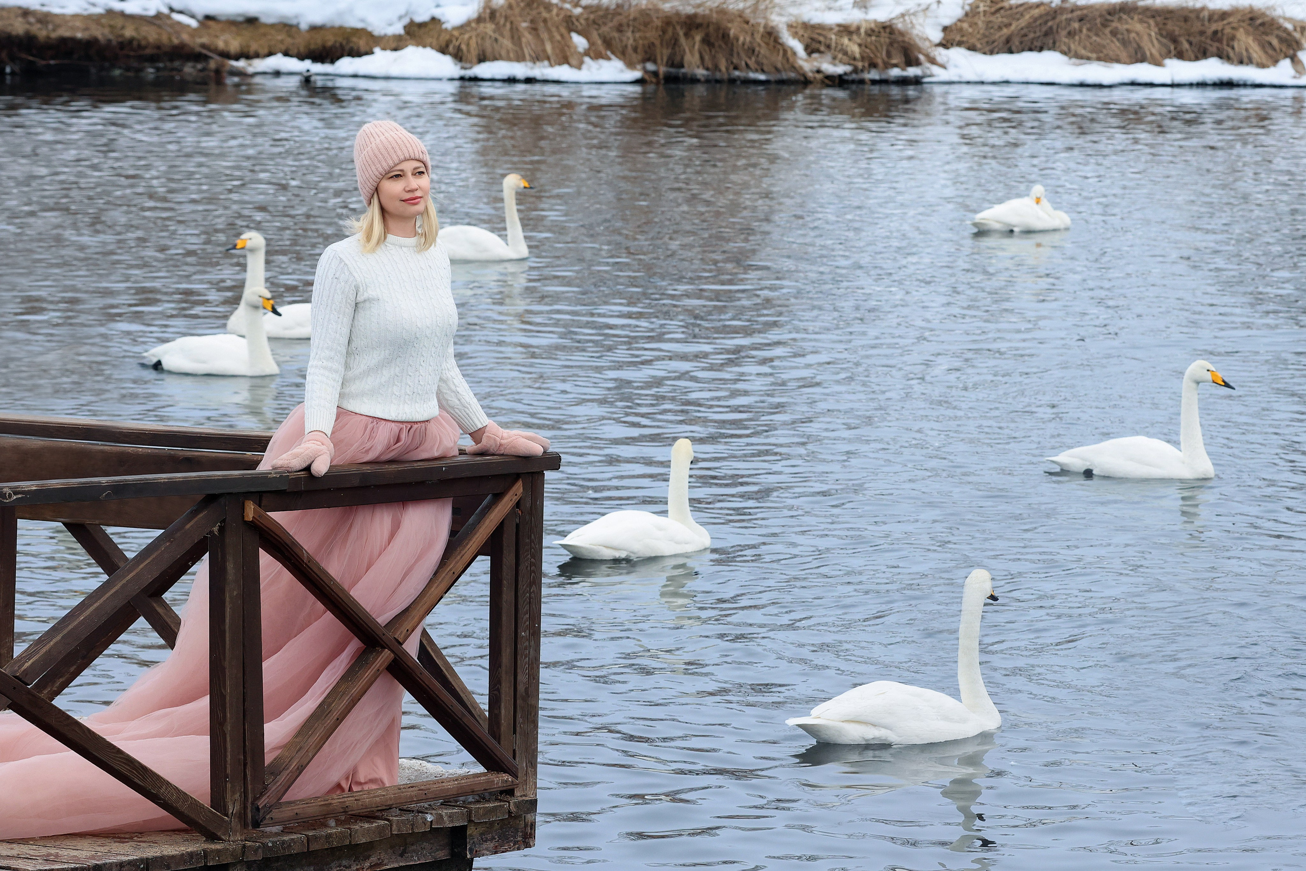 Лебединое озеро. Сказочный фотограф фотопроекты фототуры в Новосибирске и на Алтае