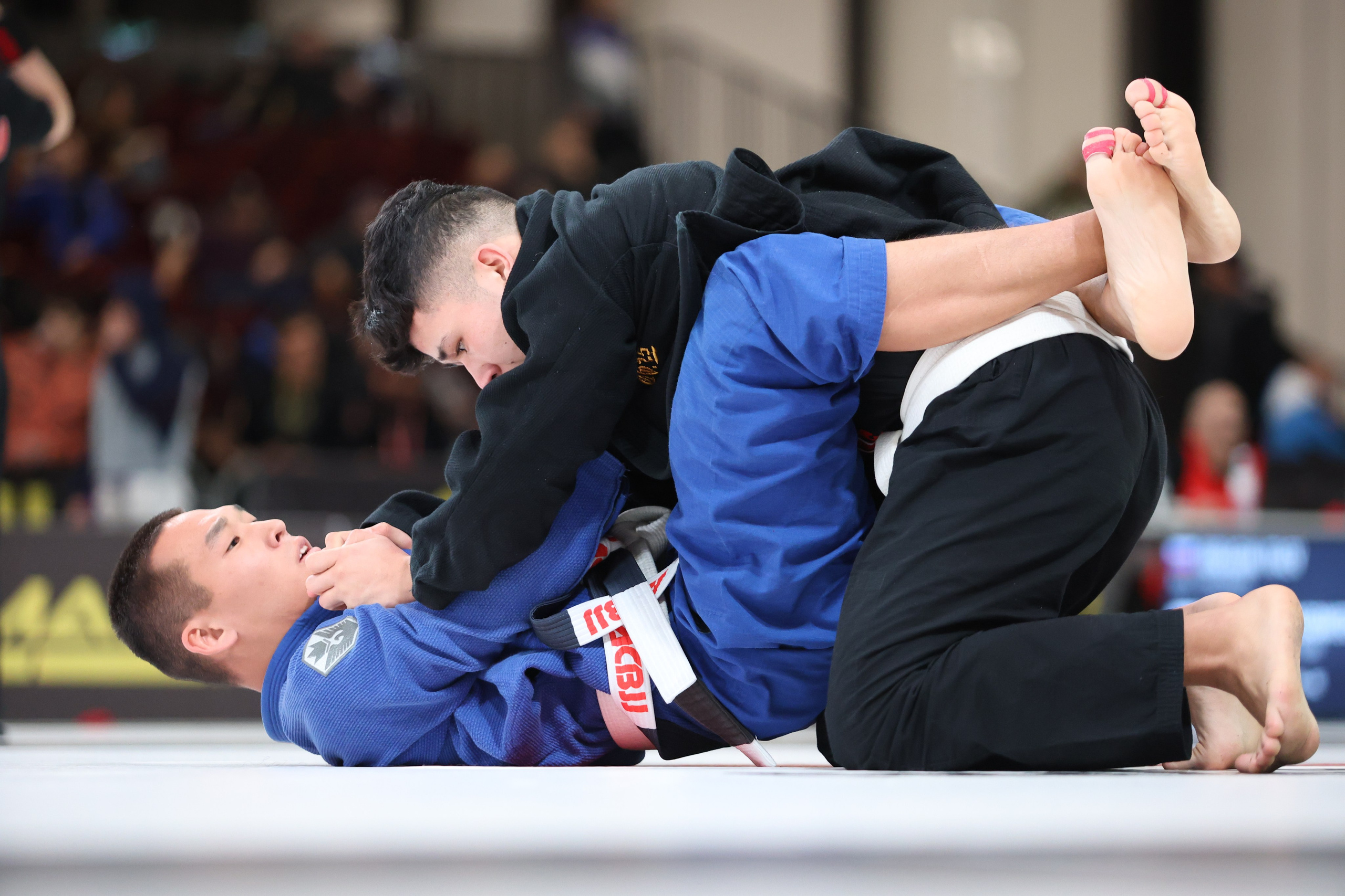 ACBJJ WORLD CHAMPIONSHIP 2023. Репортажный, Event фотограф в Санкт-Петербурге и ЛО Морозов Дмитрий