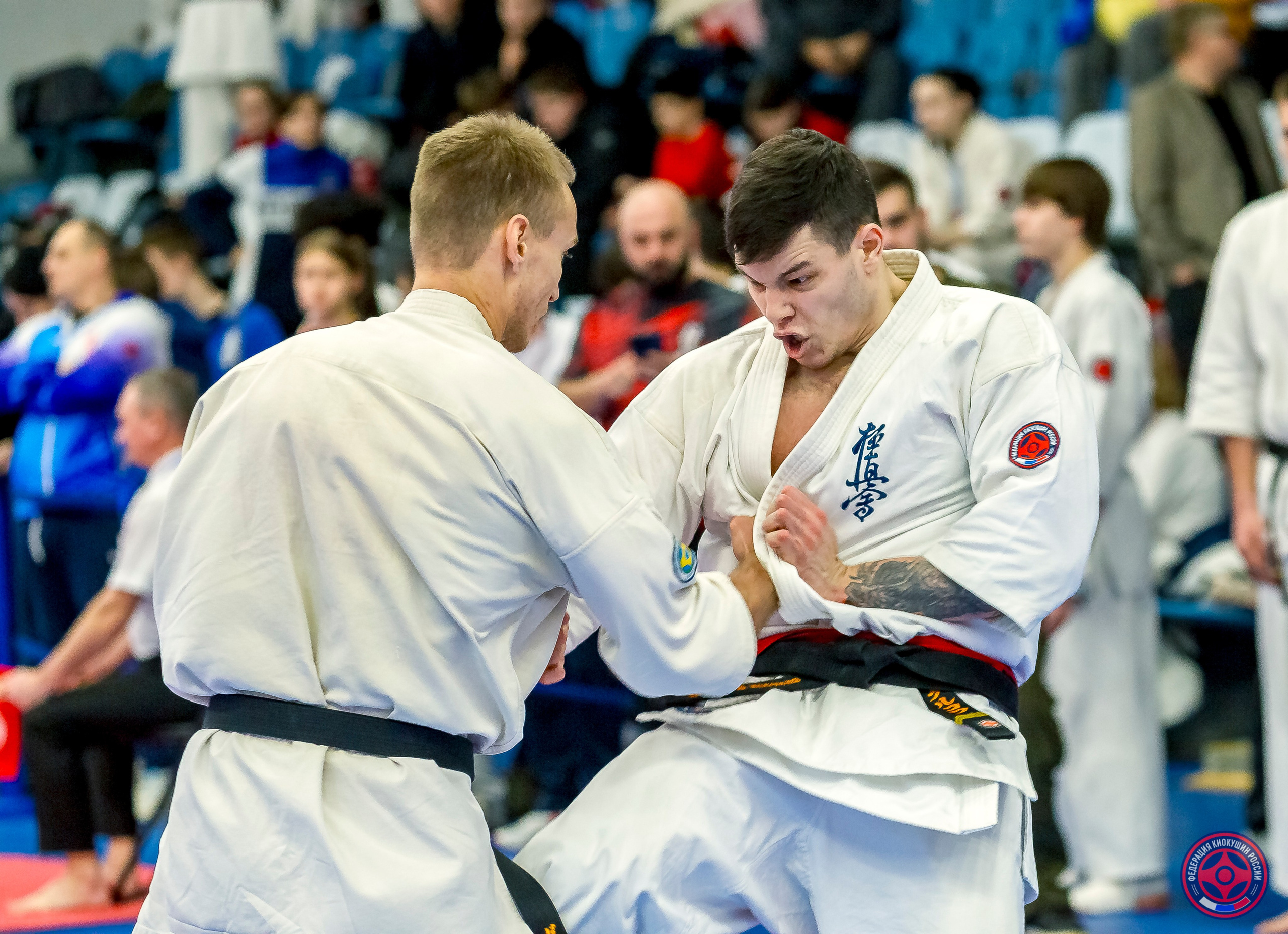 Международный турнир по киокушин «Открытый кубок Seiken». Репортажная съемка в Москве и области. Анималистика