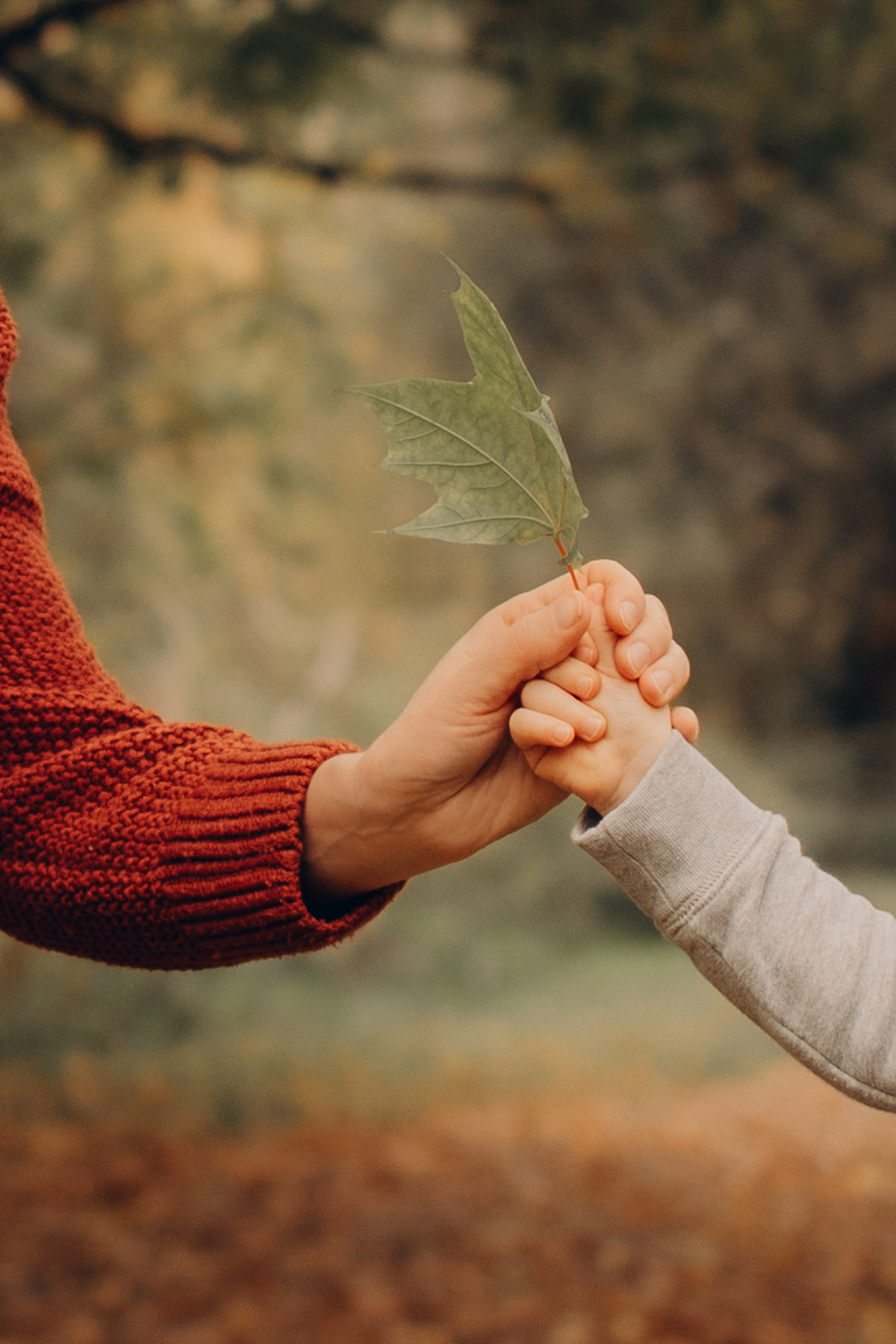 Осенняя фотопрогулка на Измайловском острове. Семейный и детский фотограф, женский портрет Москва Светлана Мертикова