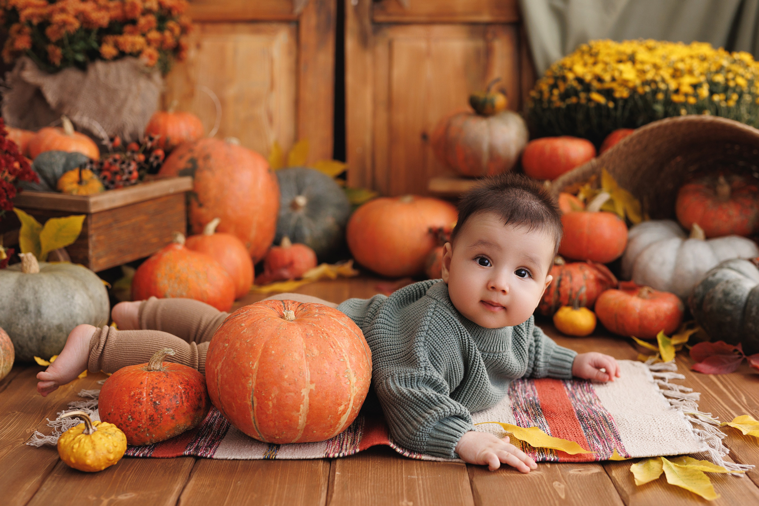 Фотопроекты. Профессиональная детская и семейная фотостудия в Краснодаре