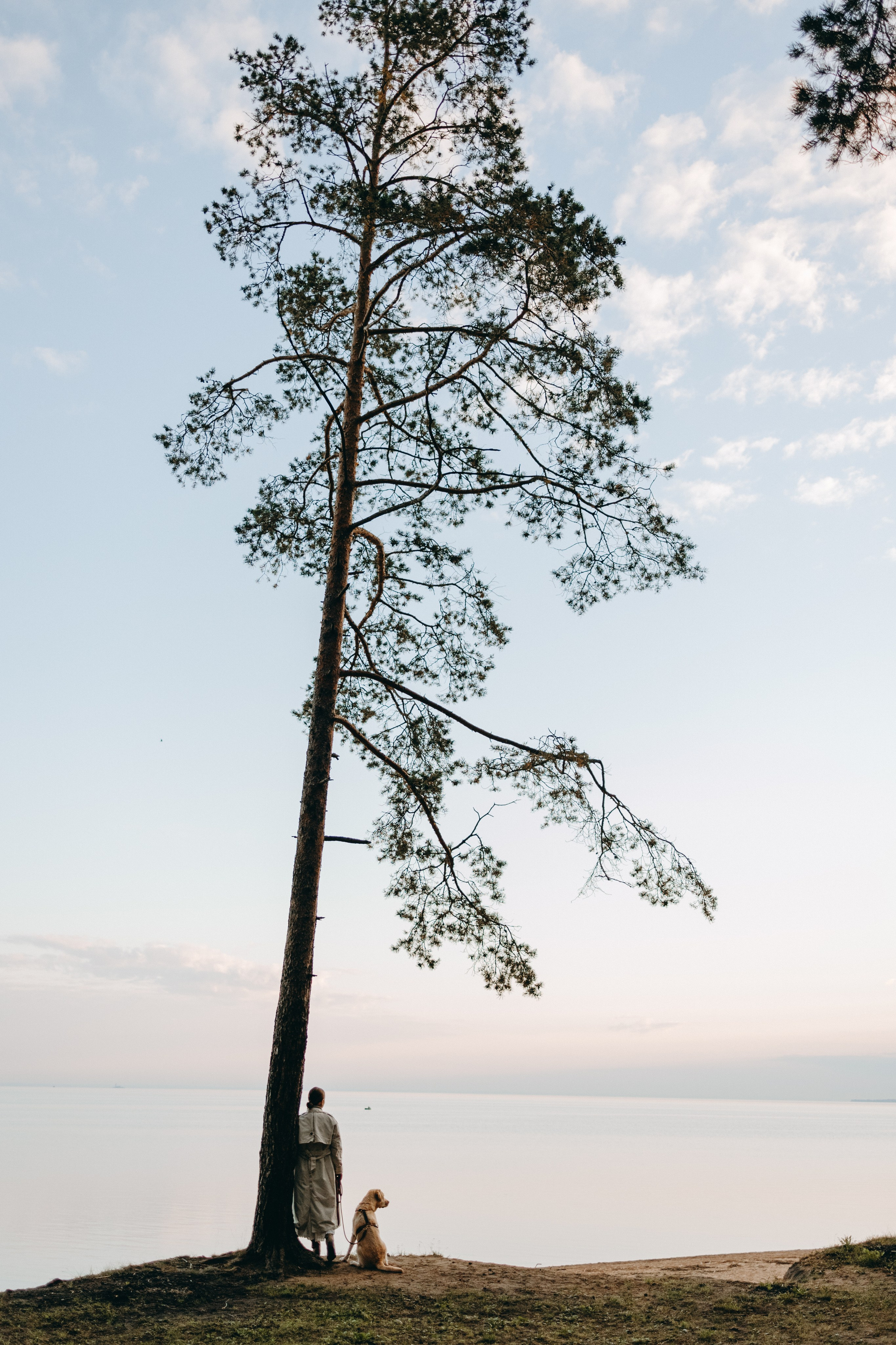 Наташа и Шани. Фотограф — Анималист | Санкт-Петербург