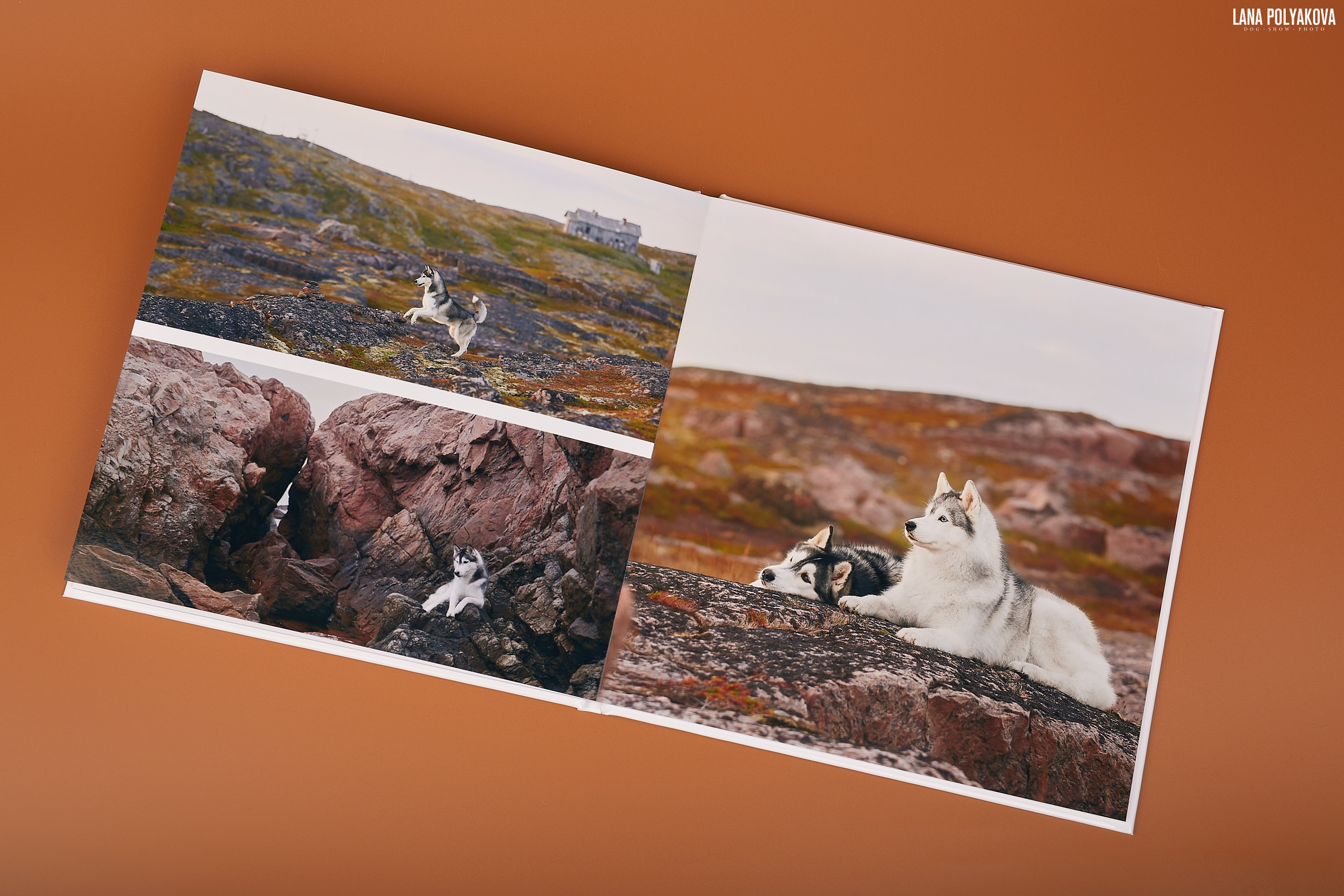 Альбом 20х20 см. Глянцевая бумага. Твердая обложка.