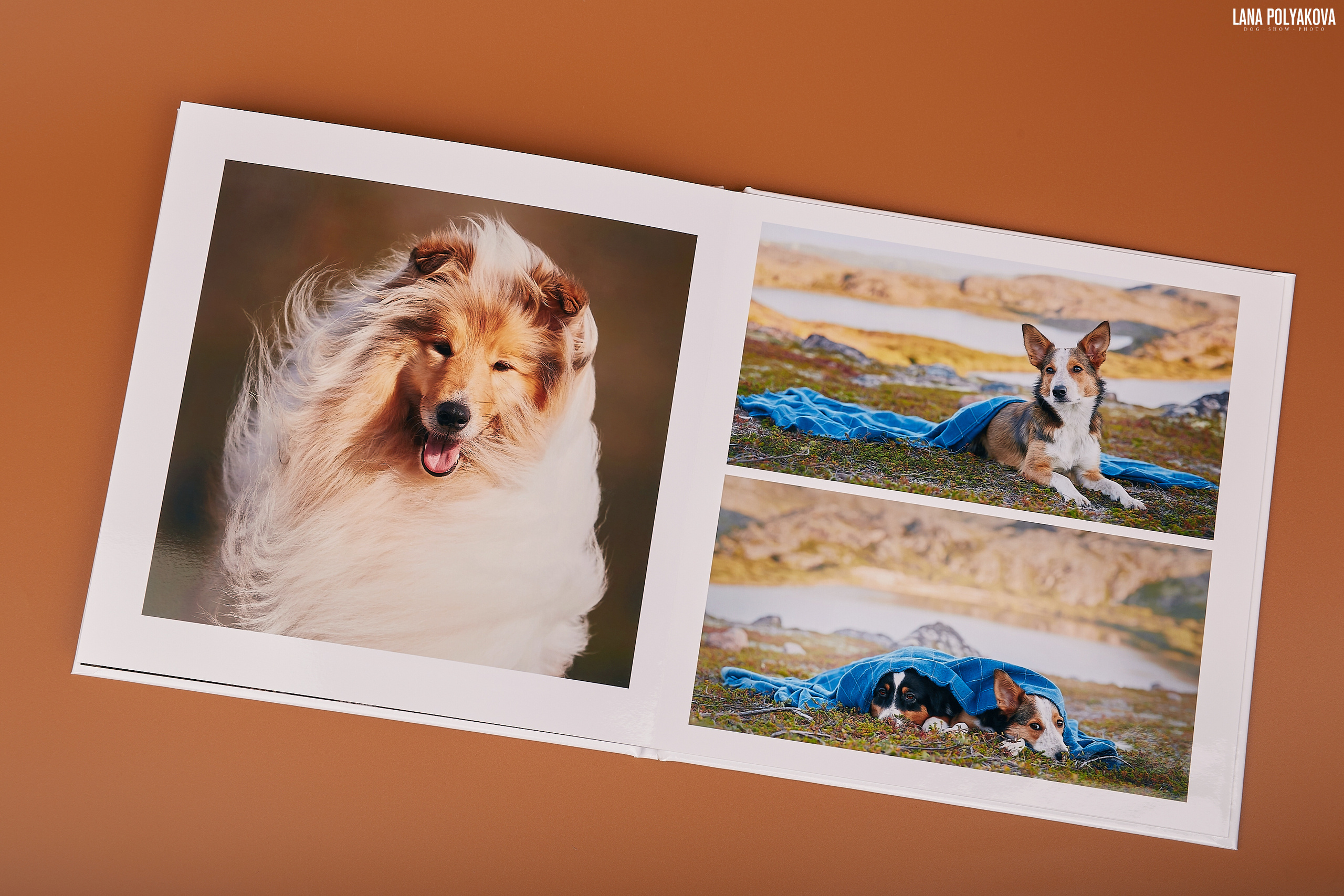 Альбом 20х20 см. Глянцевая бумага. Твердая обложка.