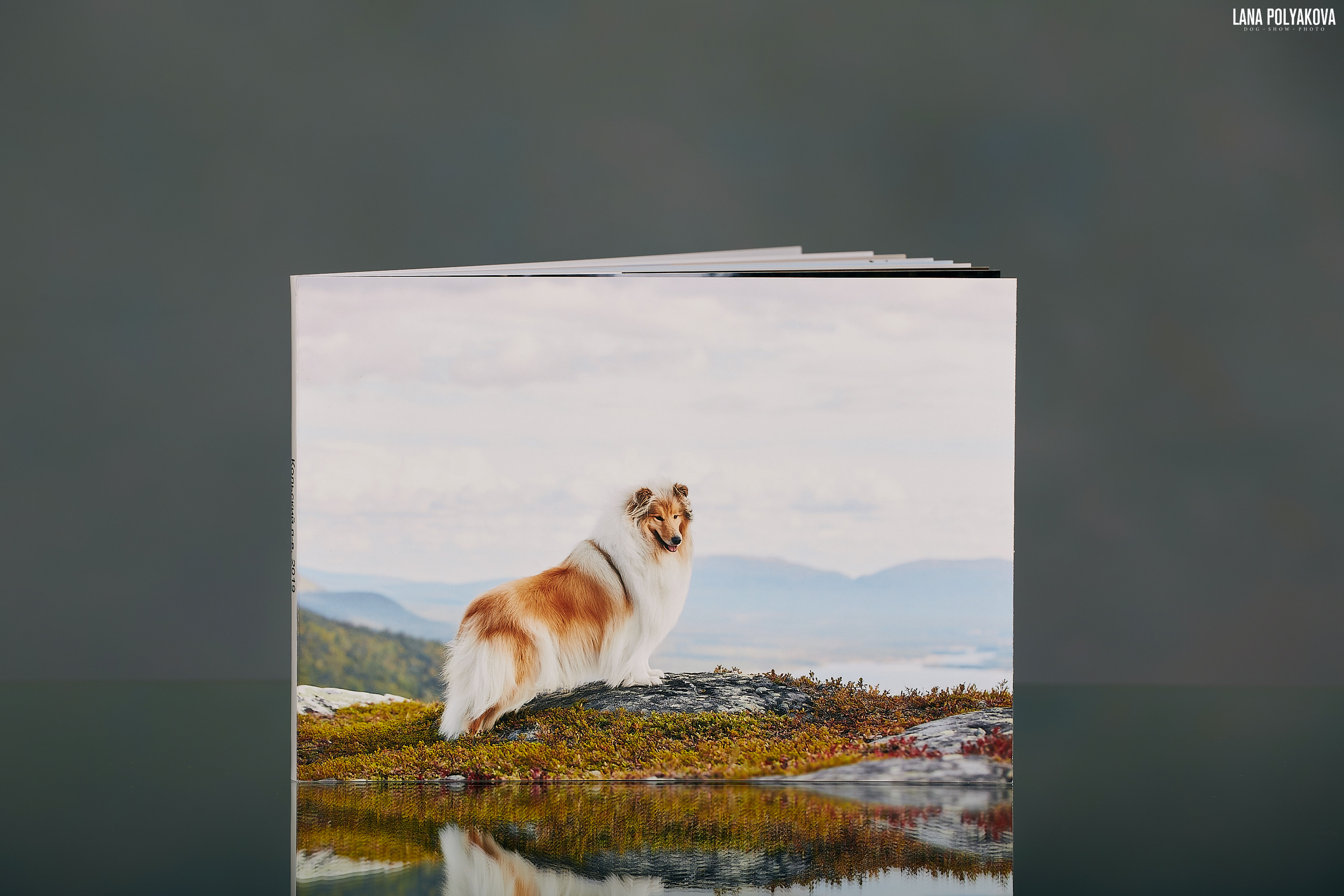 Минибук 18х13. Матовая бумага. Мягкая обложка.