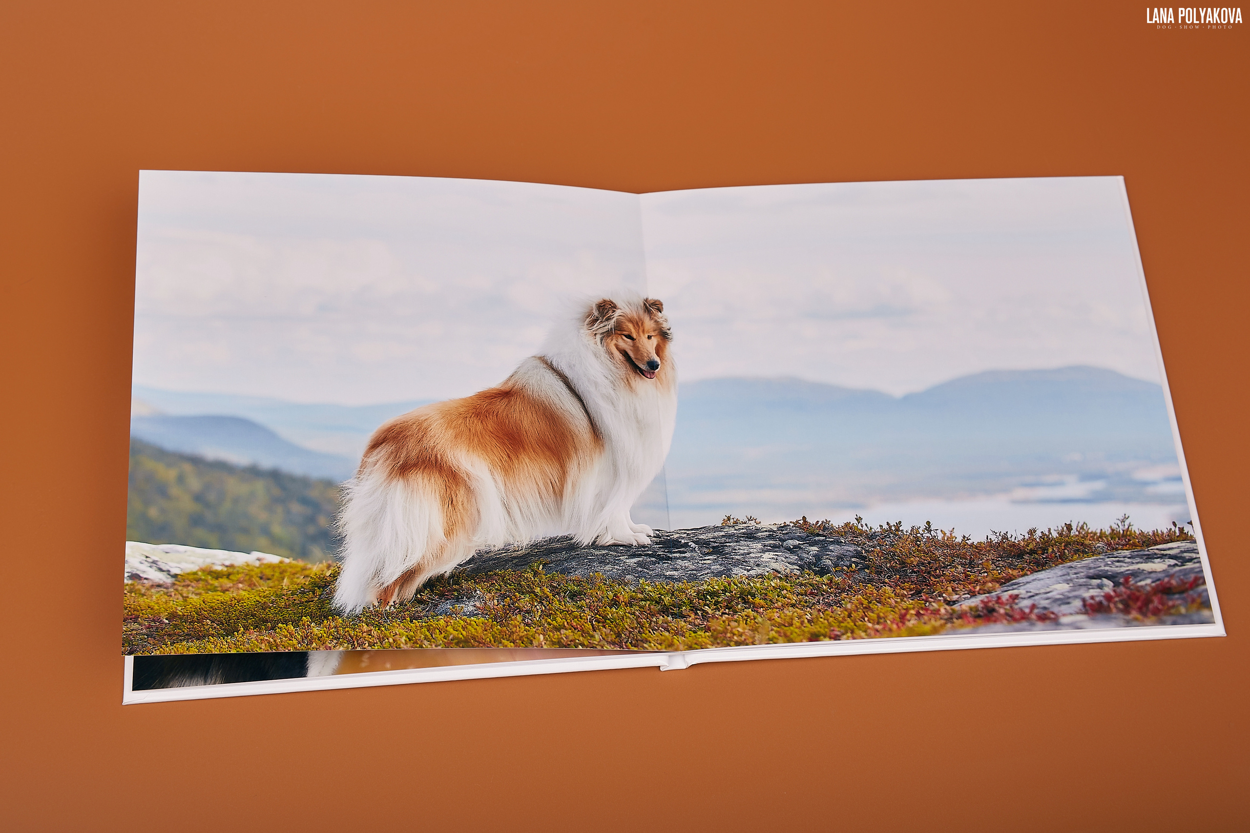 Альбом 20х20 см. Глянцевая бумага. Твердая обложка.