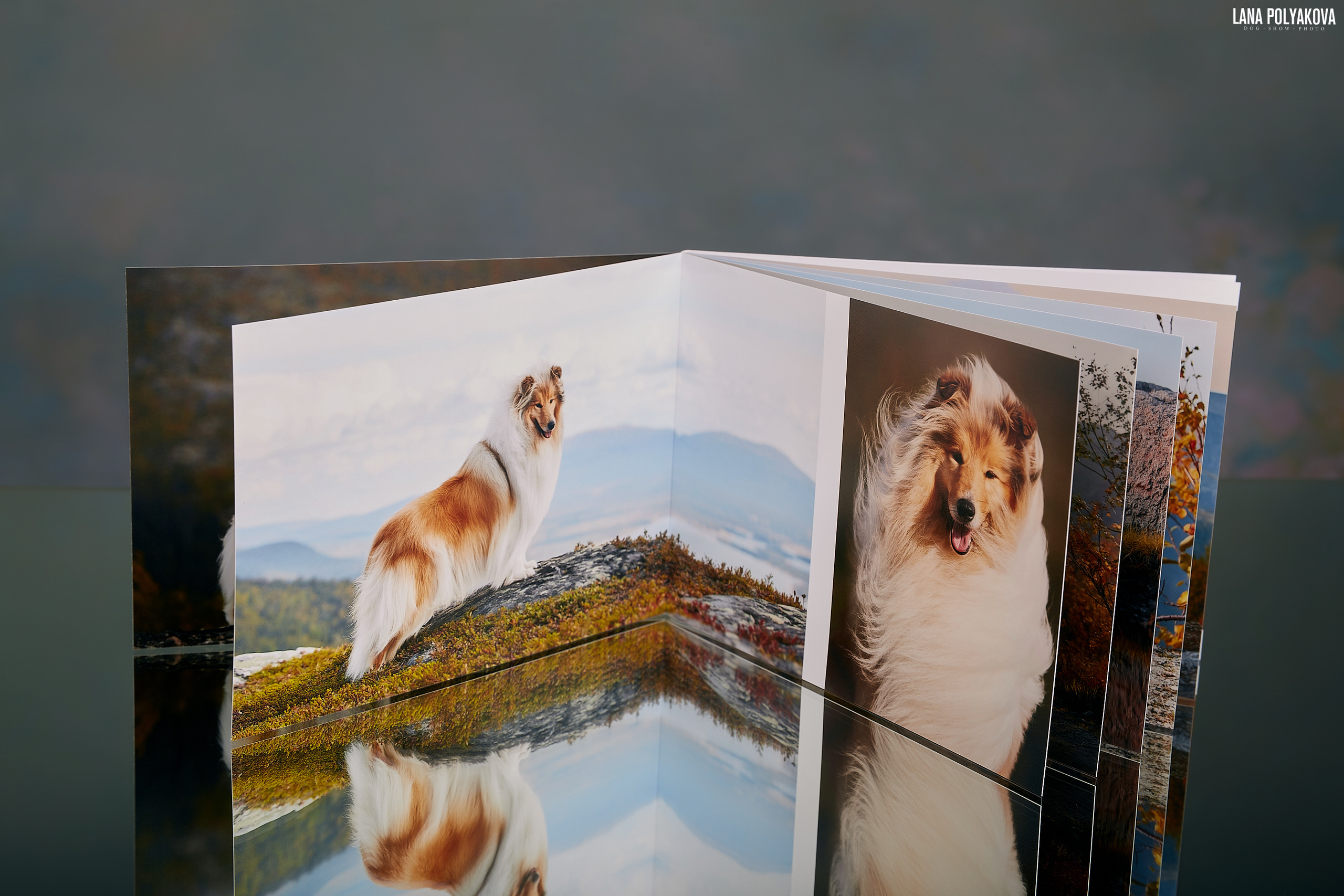 Минибук 18х13. Матовая бумага. Мягкая обложка.